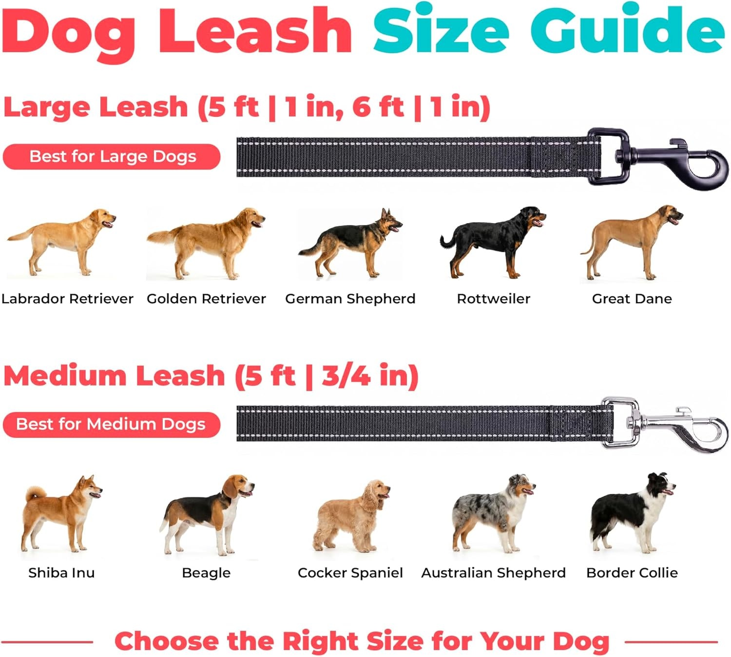 image:imageBest Pet Supplies Voyager Reflective Dog Leash or Collar with Neoprene Handle for Small Medium and Large Breed Puppies Cute and Heavy Duty for Walking Running and Training Blue Leash SLeash Black