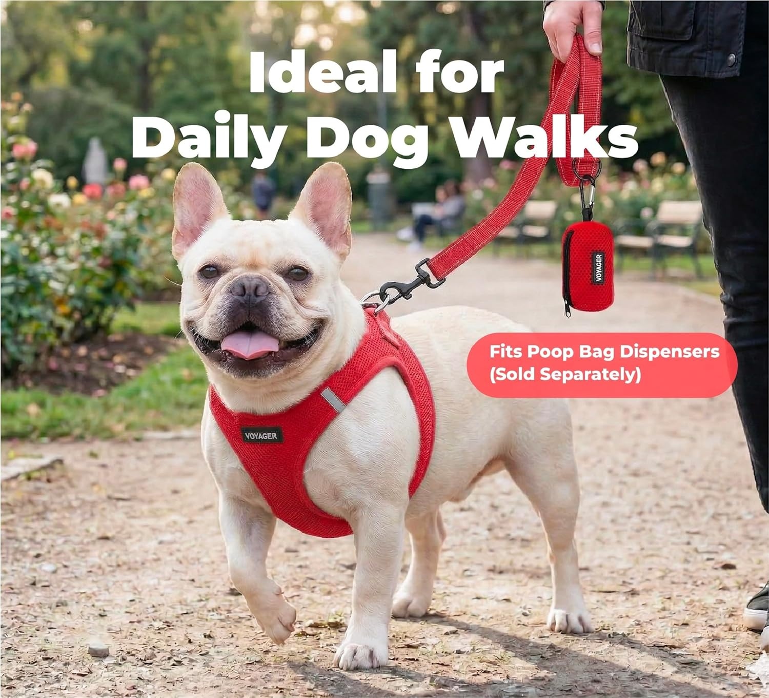 image:imageBest Pet Supplies Voyager Reflective Dog Leash or Collar with Neoprene Handle for Small Medium and Large Breed Puppies Cute and Heavy Duty for Walking Running and Training Blue Leash SLeash Red