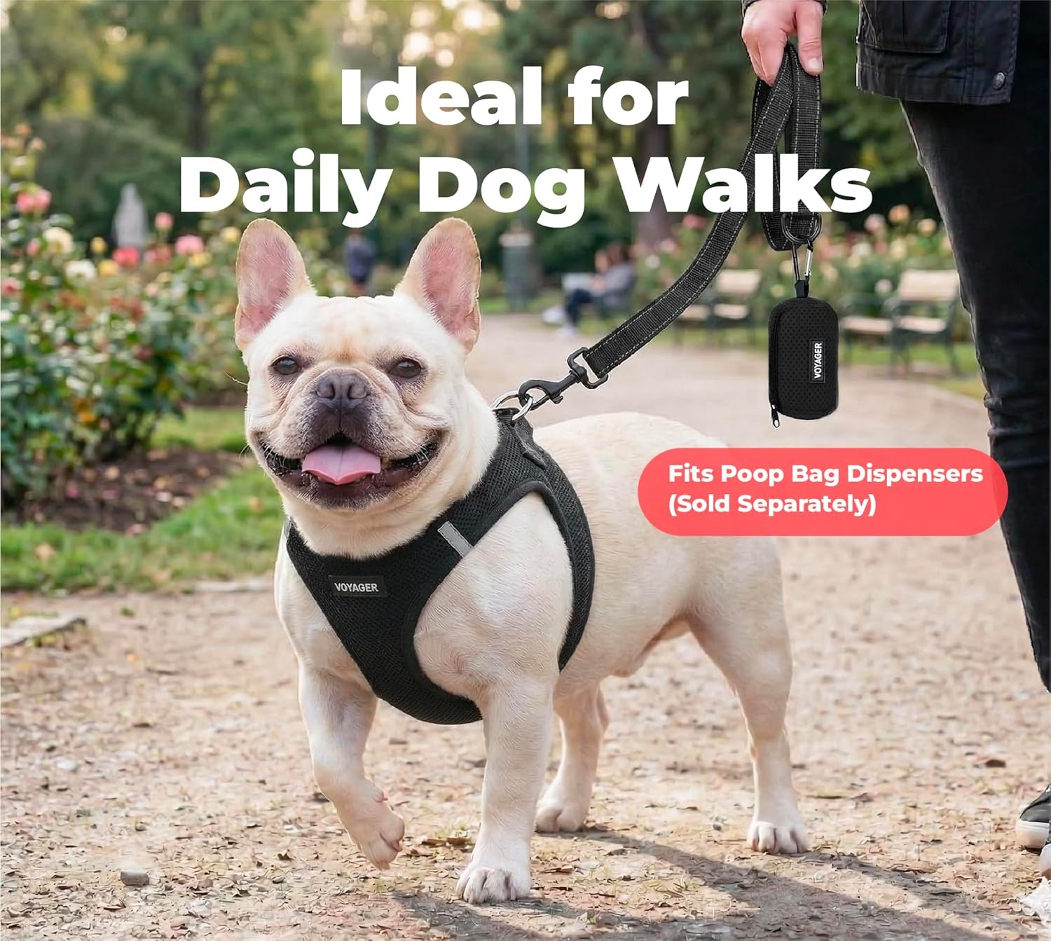 image:imageBest Pet Supplies Voyager Reflective Dog Leash or Collar with Neoprene Handle for Small Medium and Large Breed Puppies Cute and Heavy Duty for Walking Running and Training Blue Leash SLeash Black