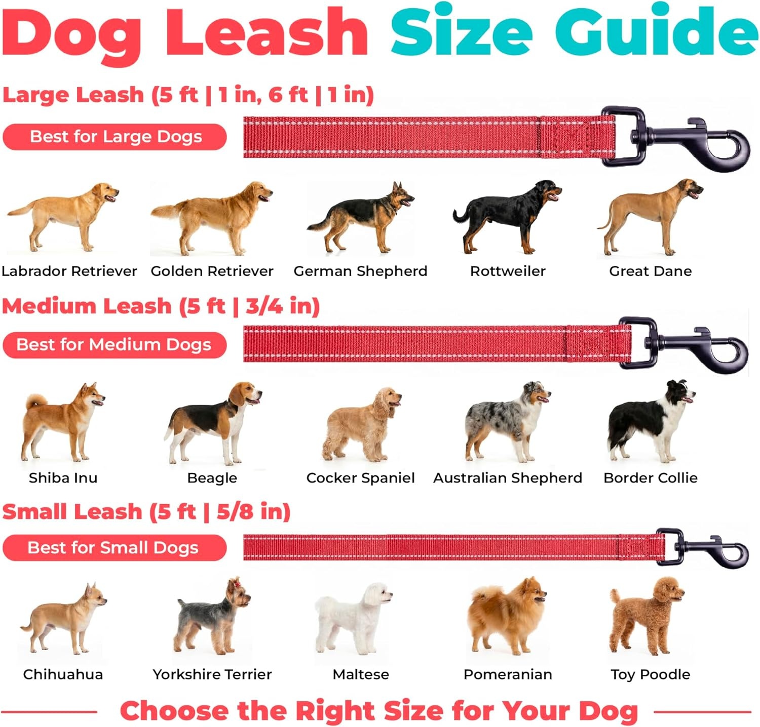 image:imageBest Pet Supplies Voyager Reflective Dog Leash or Collar with Neoprene Handle for Small Medium and Large Breed Puppies Cute and Heavy Duty for Walking Running and Training Blue Leash SLeash Red