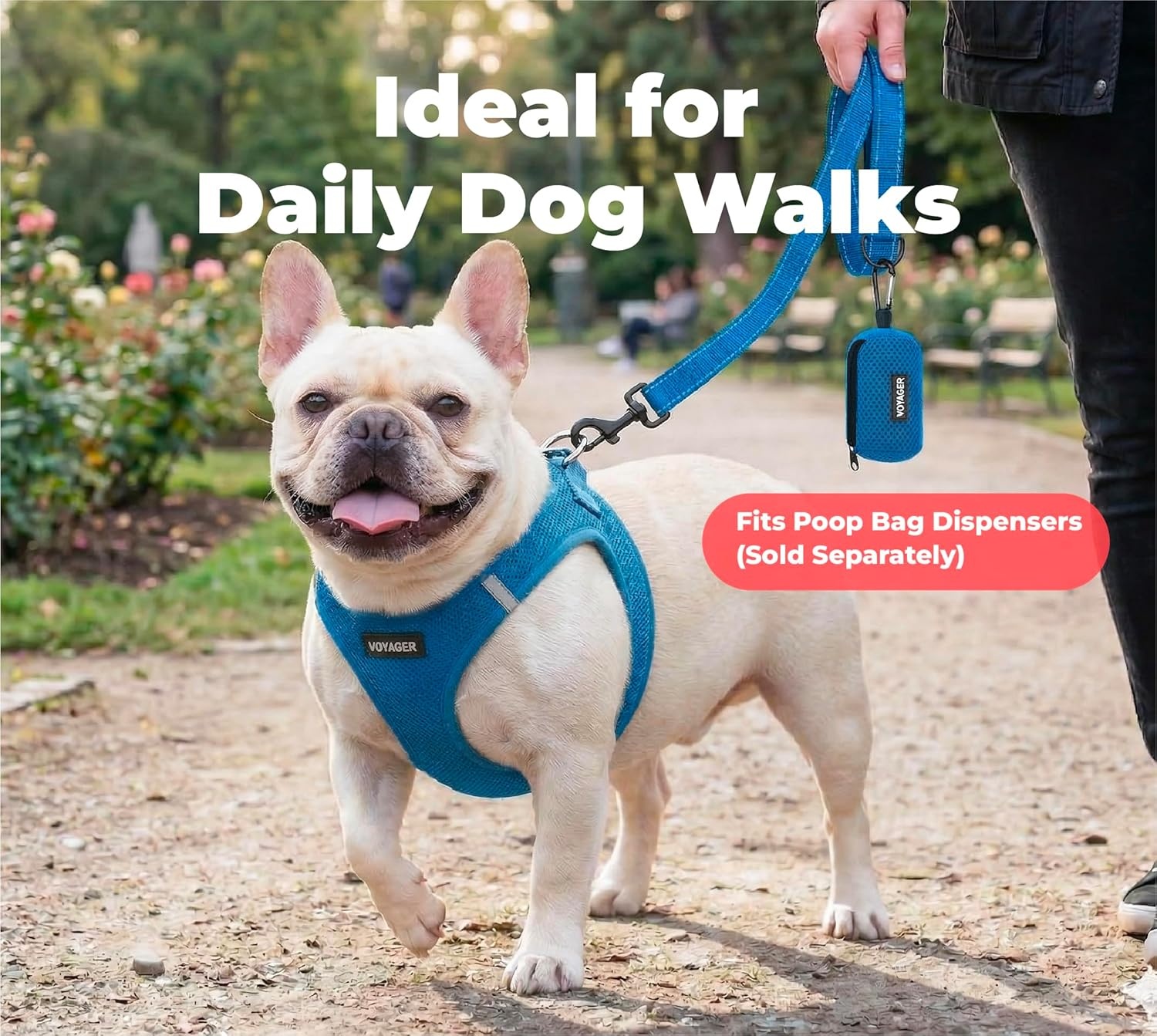 image:imageBest Pet Supplies Voyager Reflective Dog Leash or Collar with Neoprene Handle for Small Medium and Large Breed Puppies Cute and Heavy Duty for Walking Running and Training Blue Leash SLeash Royal Blue