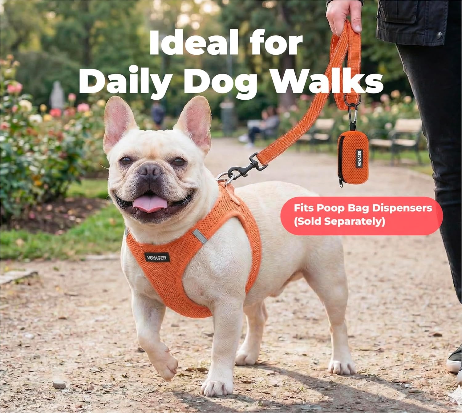image:imageBest Pet Supplies Voyager Reflective Dog Leash or Collar with Neoprene Handle for Small Medium and Large Breed Puppies Cute and Heavy Duty for Walking Running and Training Blue Leash SLeash Orange