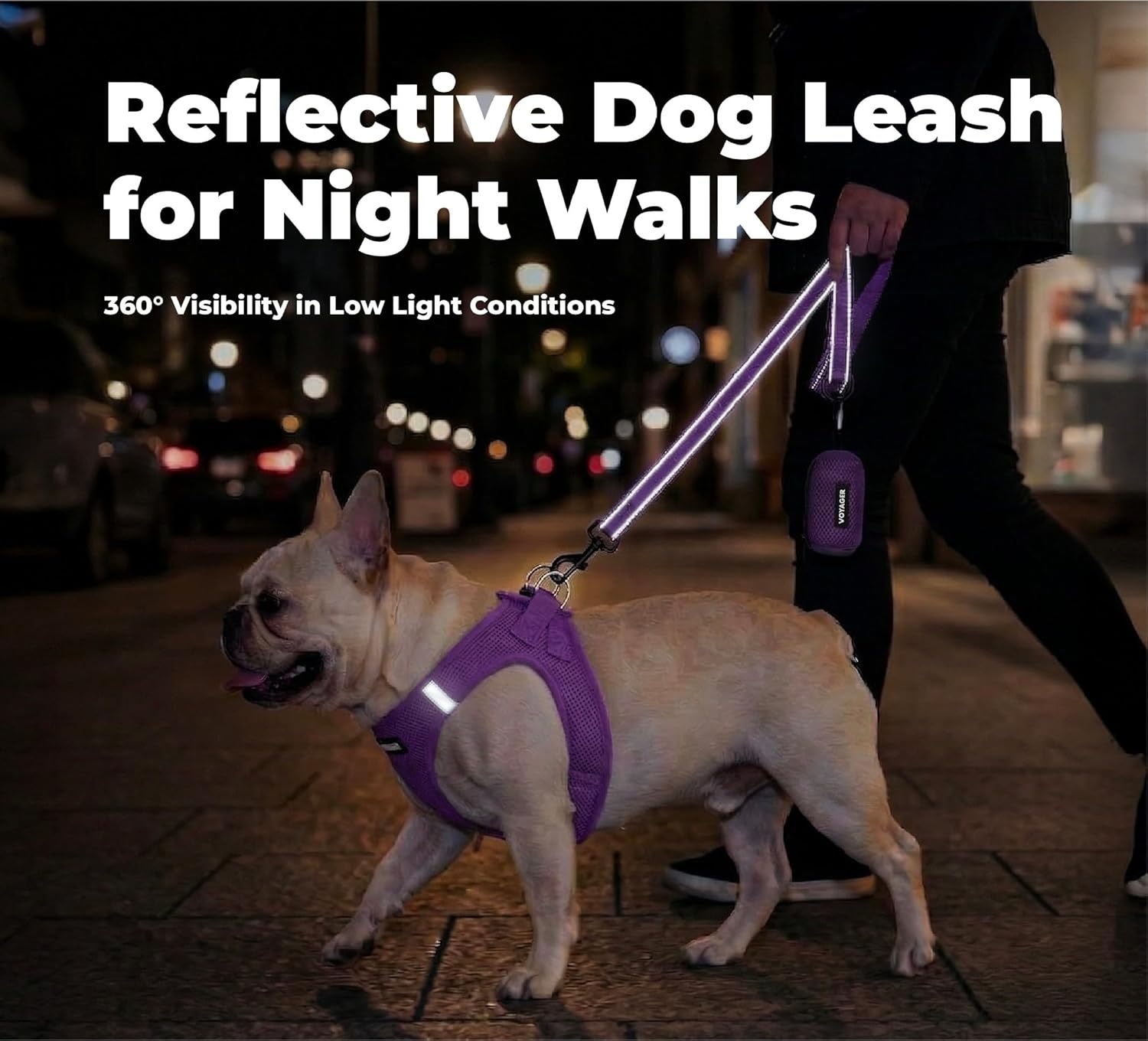 image:imageBest Pet Supplies Voyager Reflective Dog Leash or Collar with Neoprene Handle for Small Medium and Large Breed Puppies Cute and Heavy Duty for Walking Running and Training Blue Leash SLeash Purple