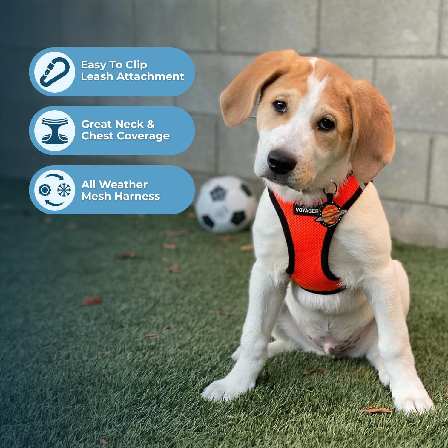 image:imageBest Pet Supplies Voyager Stepin Air Harness All Weather Mesh Reflective No Pull Harness for Dogs Cats Secure with Hook amp Loop Fastener Buckle Double DRings Fuchsia SHarness OrangeBlack Trim