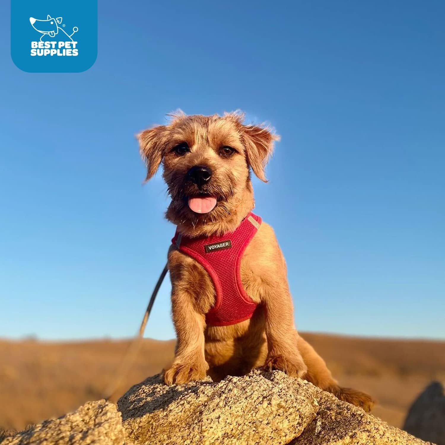 image:imageBest Pet Supplies Voyager Stepin Air Harness All Weather Mesh Reflective No Pull Harness for Dogs Cats Secure with Hook amp Loop Fastener Buckle Double DRings Fuchsia SHarness Red
