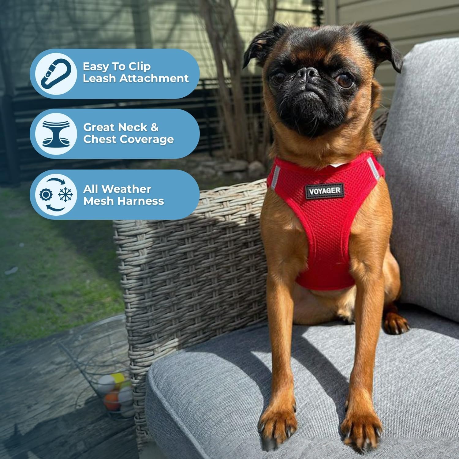 image:imageBest Pet Supplies Voyager Stepin Air Harness All Weather Mesh Reflective No Pull Harness for Dogs Cats Secure with Hook amp Loop Fastener Buckle Double DRings Fuchsia SHarness Red