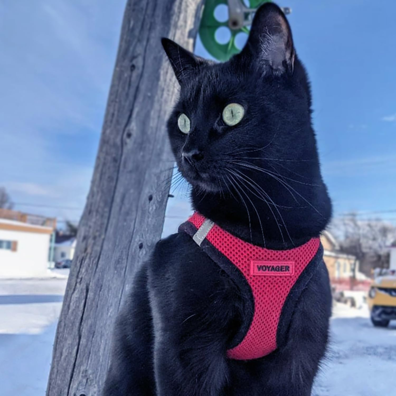 image:imageBest Pet Supplies Voyager Stepin Air Harness All Weather Mesh Reflective No Pull Harness for Dogs Cats Secure with Hook amp Loop Fastener Buckle Double DRings Fuchsia SHarness RedBlack Trim