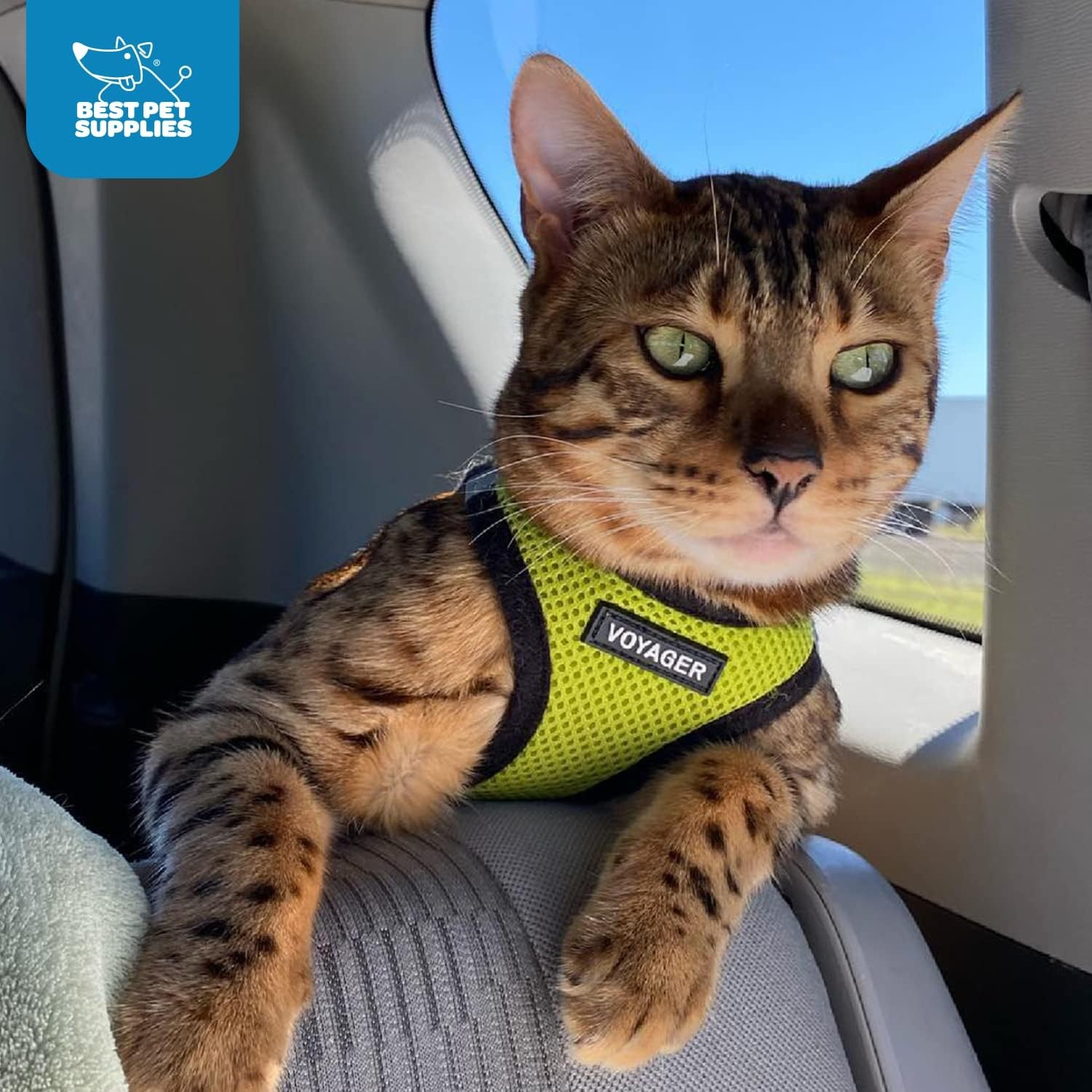 image:imageBest Pet Supplies Voyager Stepin Air Harness All Weather Mesh Reflective No Pull Harness for Dogs Cats Secure with Hook amp Loop Fastener Buckle Double DRings Fuchsia SHarness Lime GreenBlack Trim