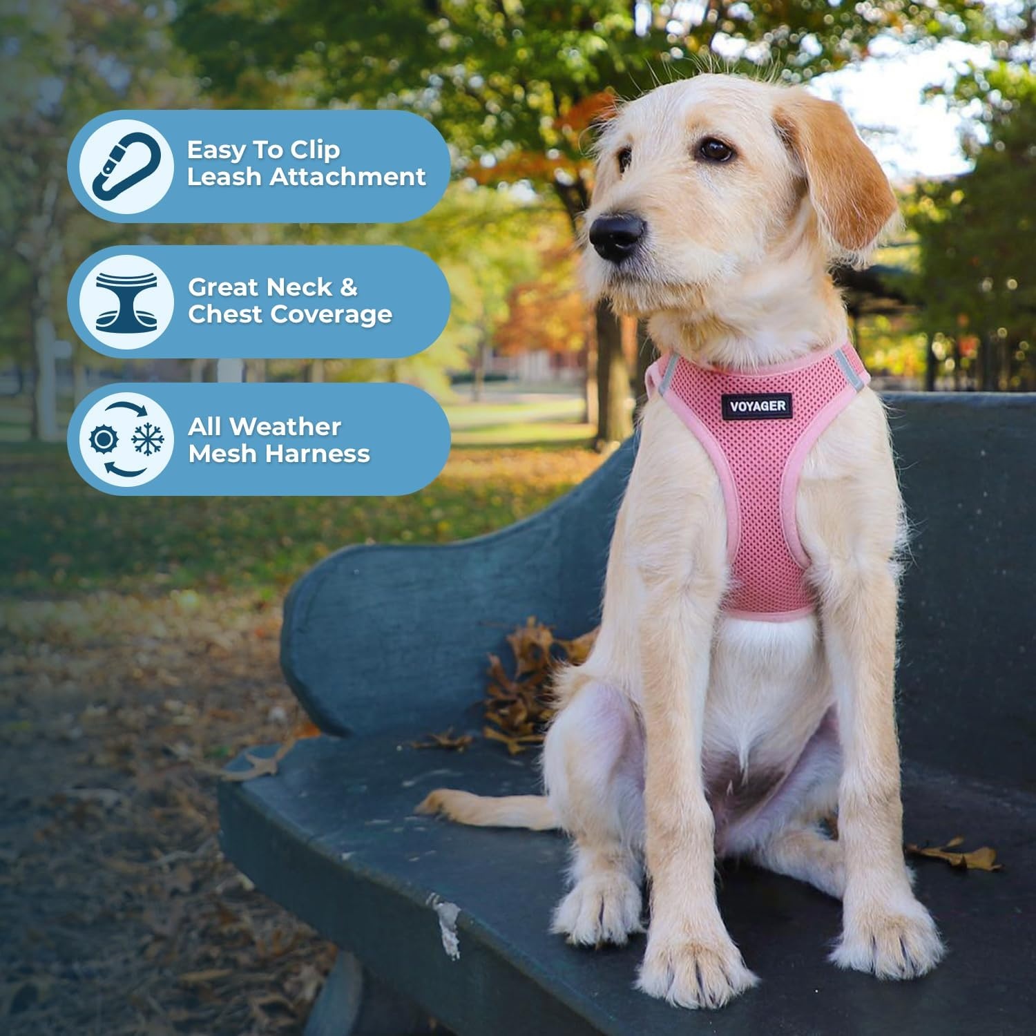 image:imageBest Pet Supplies Voyager Stepin Air Harness All Weather Mesh Reflective No Pull Harness for Dogs Cats Secure with Hook amp Loop Fastener Buckle Double DRings Fuchsia SHarness Pink