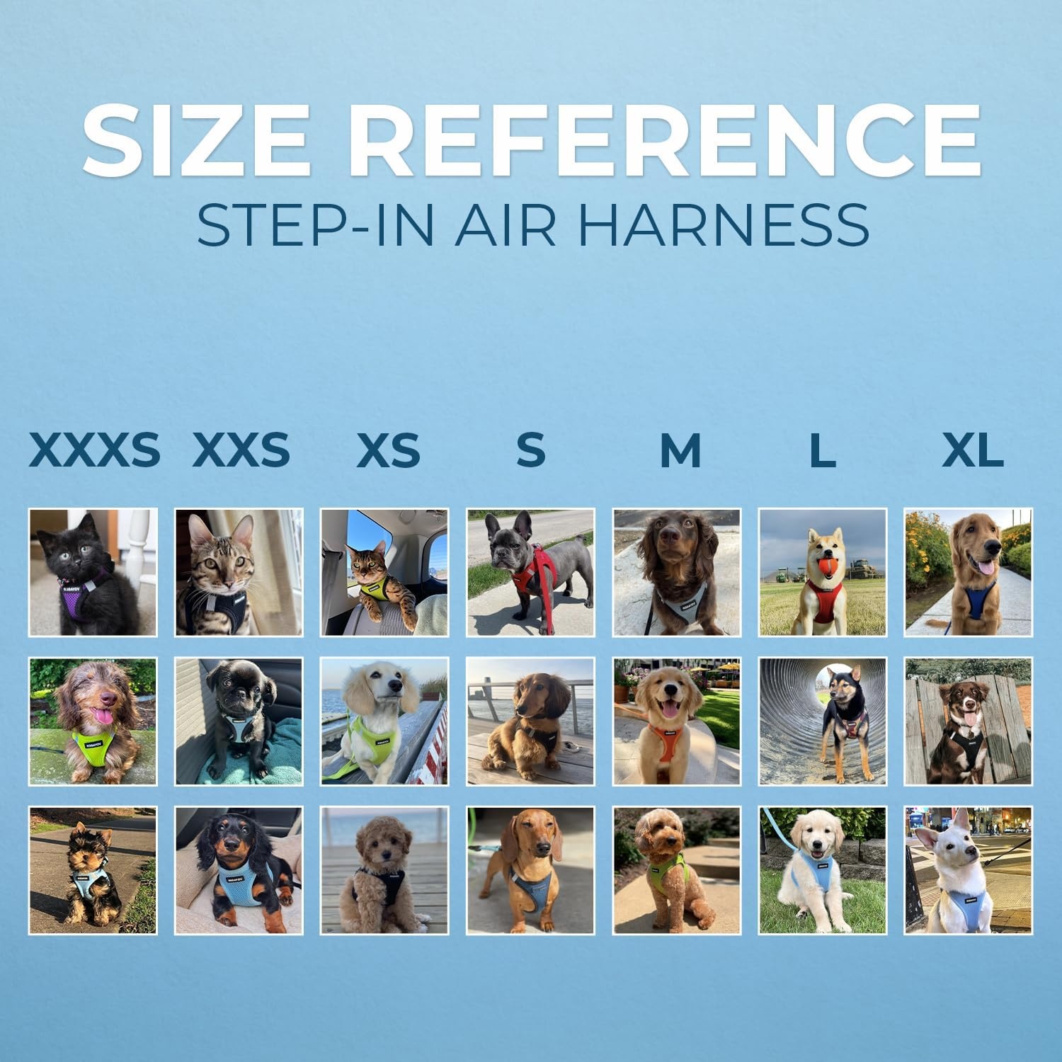 image:imageBest Pet Supplies Voyager Stepin Air Harness All Weather Mesh Reflective No Pull Harness for Dogs Cats Secure with Hook amp Loop Fastener Buckle Double DRings Fuchsia SHarness Turquoise