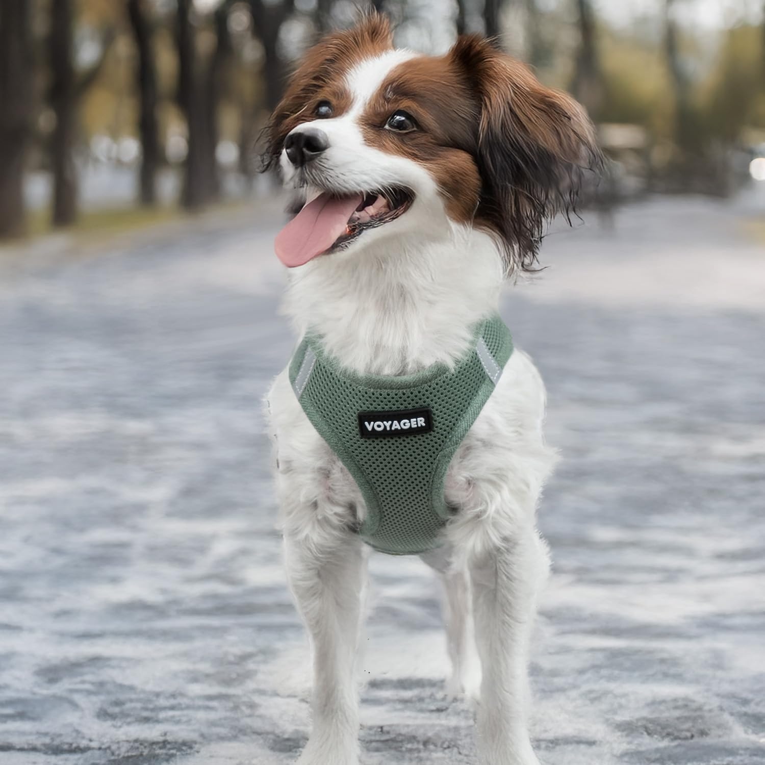 image:imageBest Pet Supplies Voyager Stepin Air Harness All Weather Mesh Reflective No Pull Harness for Dogs Cats Secure with Hook amp Loop Fastener Buckle Double DRings Fuchsia SHarness Moss Green