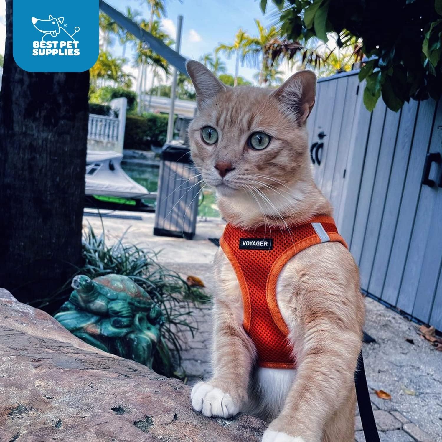 image:imageBest Pet Supplies Voyager Stepin Air Harness All Weather Mesh Reflective No Pull Harness for Dogs Cats Secure with Hook amp Loop Fastener Buckle Double DRings Fuchsia SHarness Orange