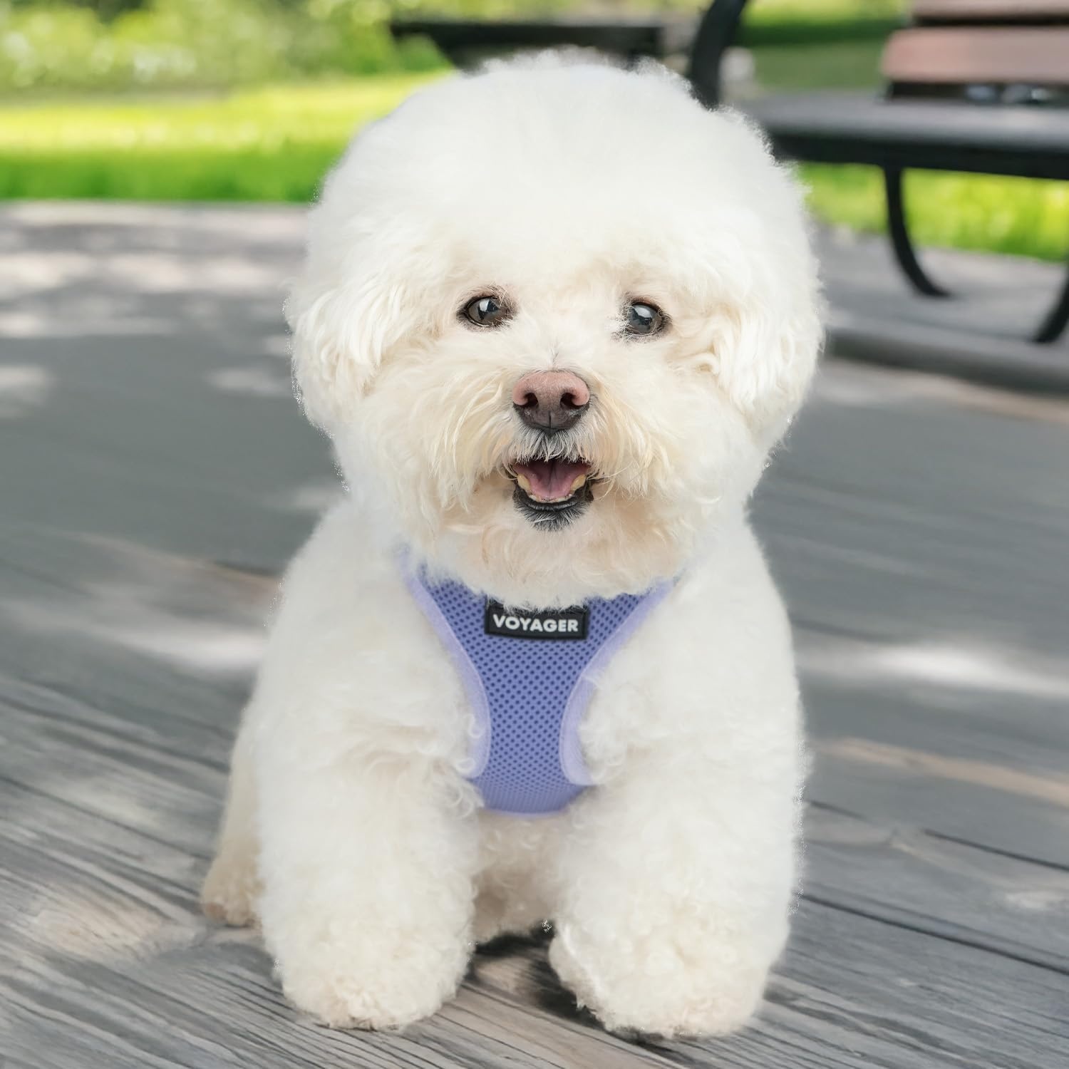 image:imageBest Pet Supplies Voyager Stepin Air Harness All Weather Mesh Reflective No Pull Harness for Dogs Cats Secure with Hook amp Loop Fastener Buckle Double DRings Fuchsia SHarness Lavender