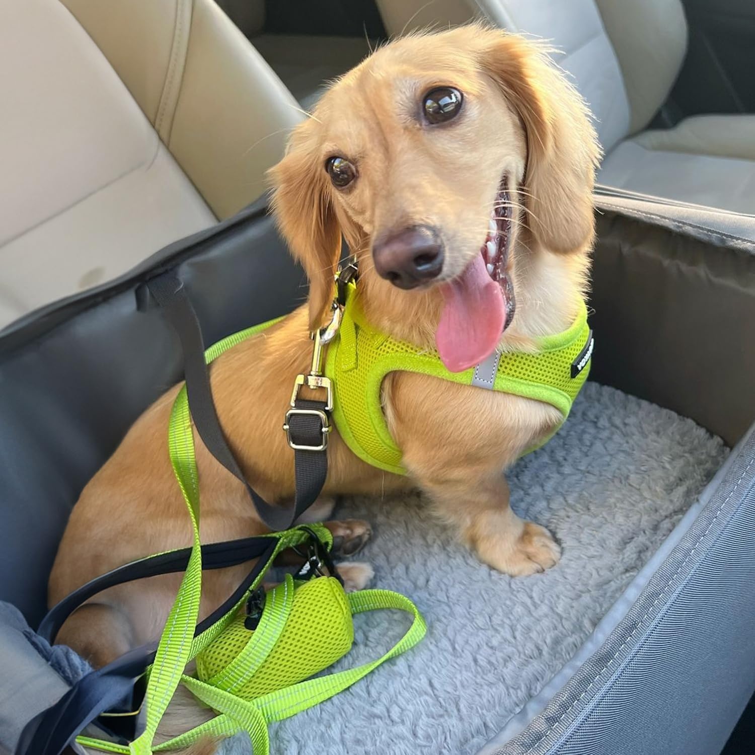 image:imageBest Pet Supplies Voyager Stepin Air Harness All Weather Mesh Reflective No Pull Harness for Dogs Cats Secure with Hook amp Loop Fastener Buckle Double DRings Fuchsia SHarness Lime Green
