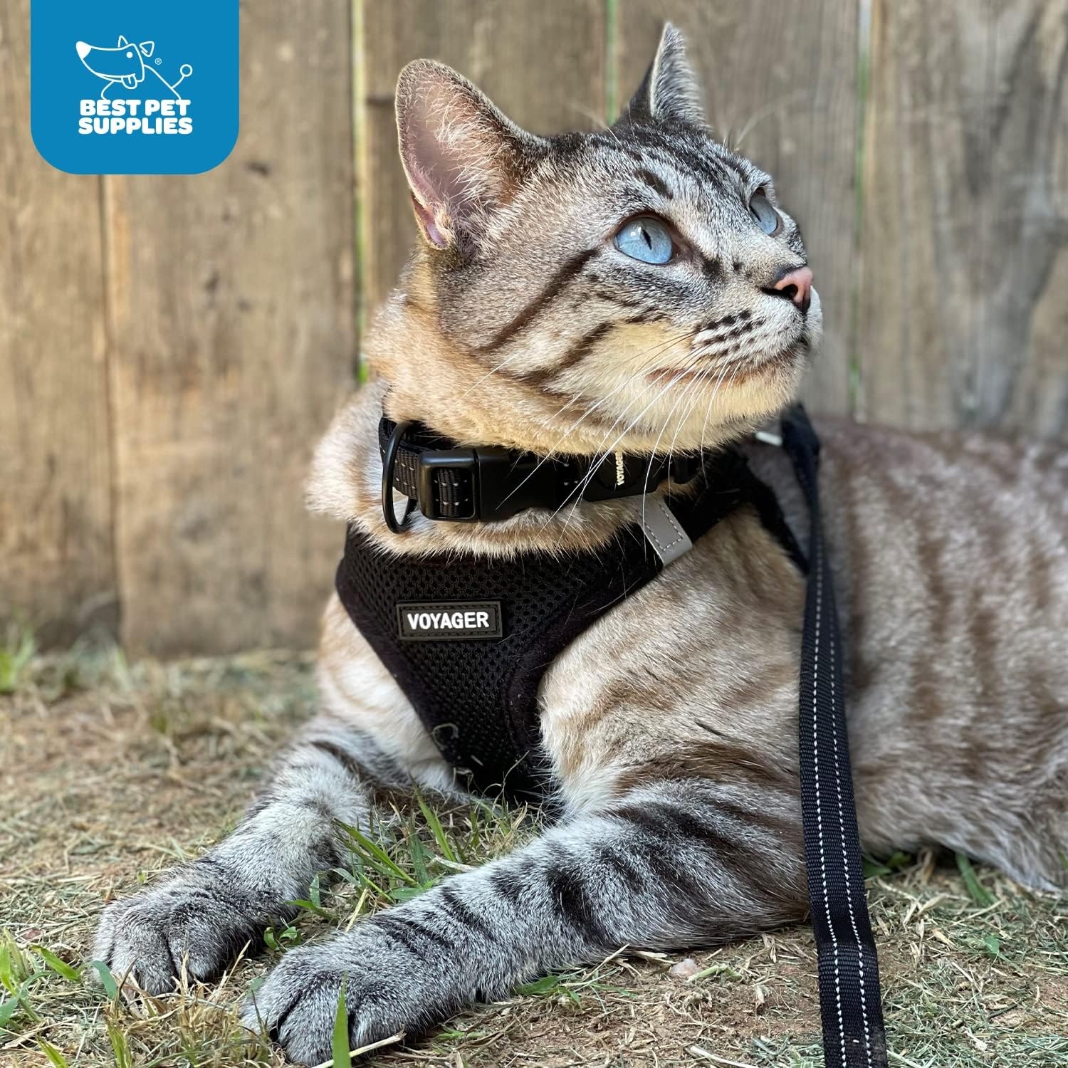 image:imageBest Pet Supplies Voyager Stepin Air Harness All Weather Mesh Reflective No Pull Harness for Dogs Cats Secure with Hook amp Loop Fastener Buckle Double DRings Fuchsia SHarness RedBlack Trim