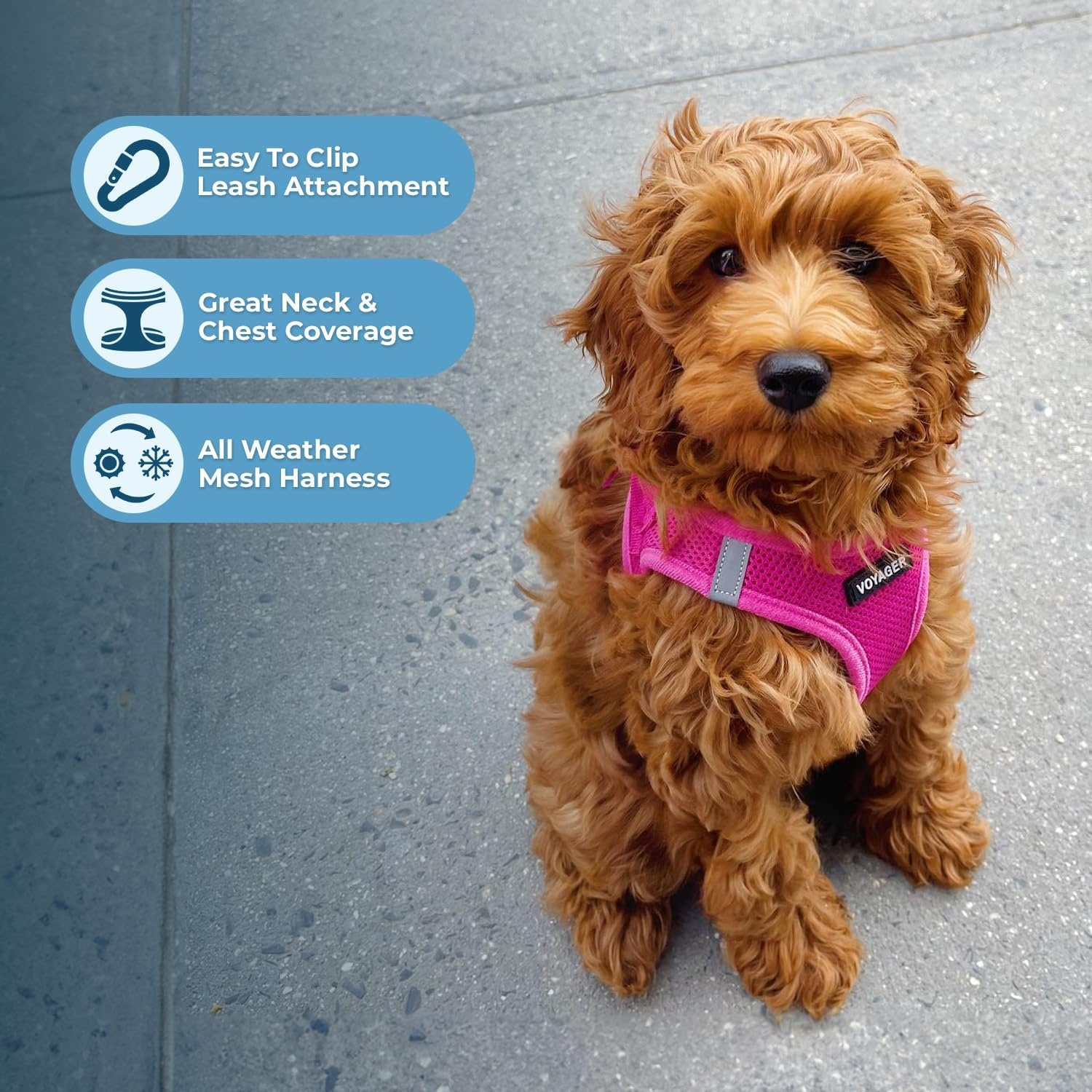 image:imageBest Pet Supplies Voyager Stepin Air Harness All Weather Mesh Reflective No Pull Harness for Dogs Cats Secure with Hook amp Loop Fastener Buckle Double DRings Fuchsia SHarness Fuchsia