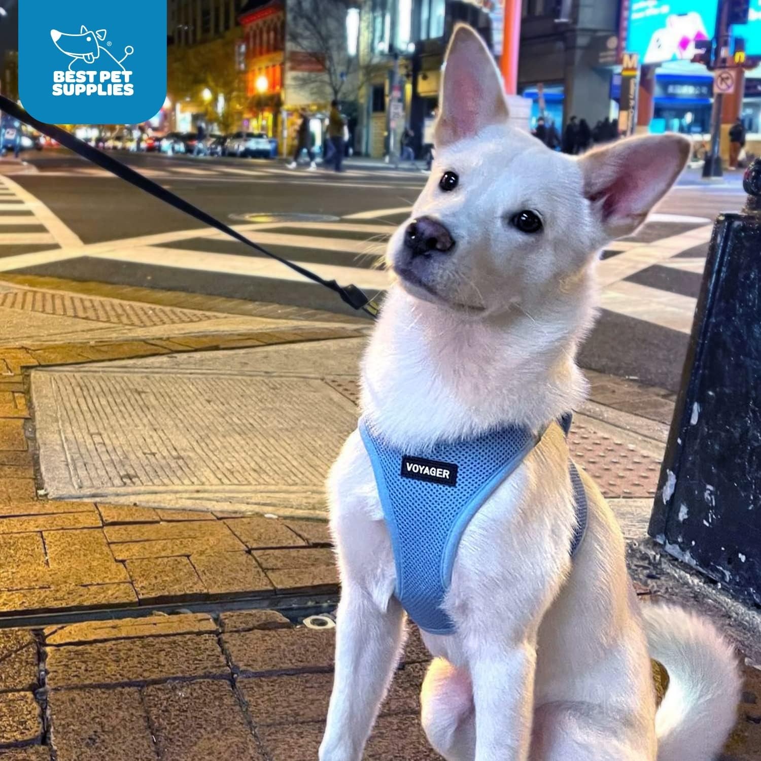 image:imageBest Pet Supplies Voyager Stepin Air Harness All Weather Mesh Reflective No Pull Harness for Dogs Cats Secure with Hook amp Loop Fastener Buckle Double DRings Fuchsia SHarness Baby Blue