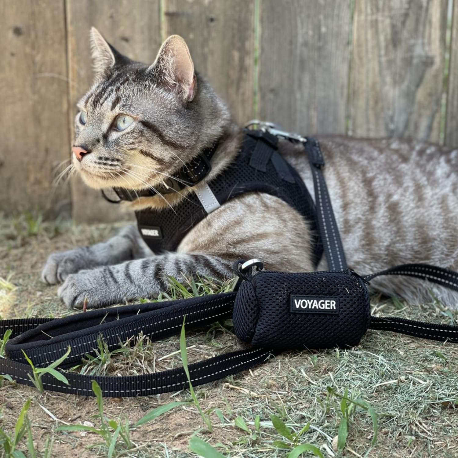 image:imageBest Pet Supplies Voyager Stepin Air Harness All Weather Mesh Reflective No Pull Harness for Dogs Cats Secure with Hook amp Loop Fastener Buckle Double DRings Fuchsia SHarness Black