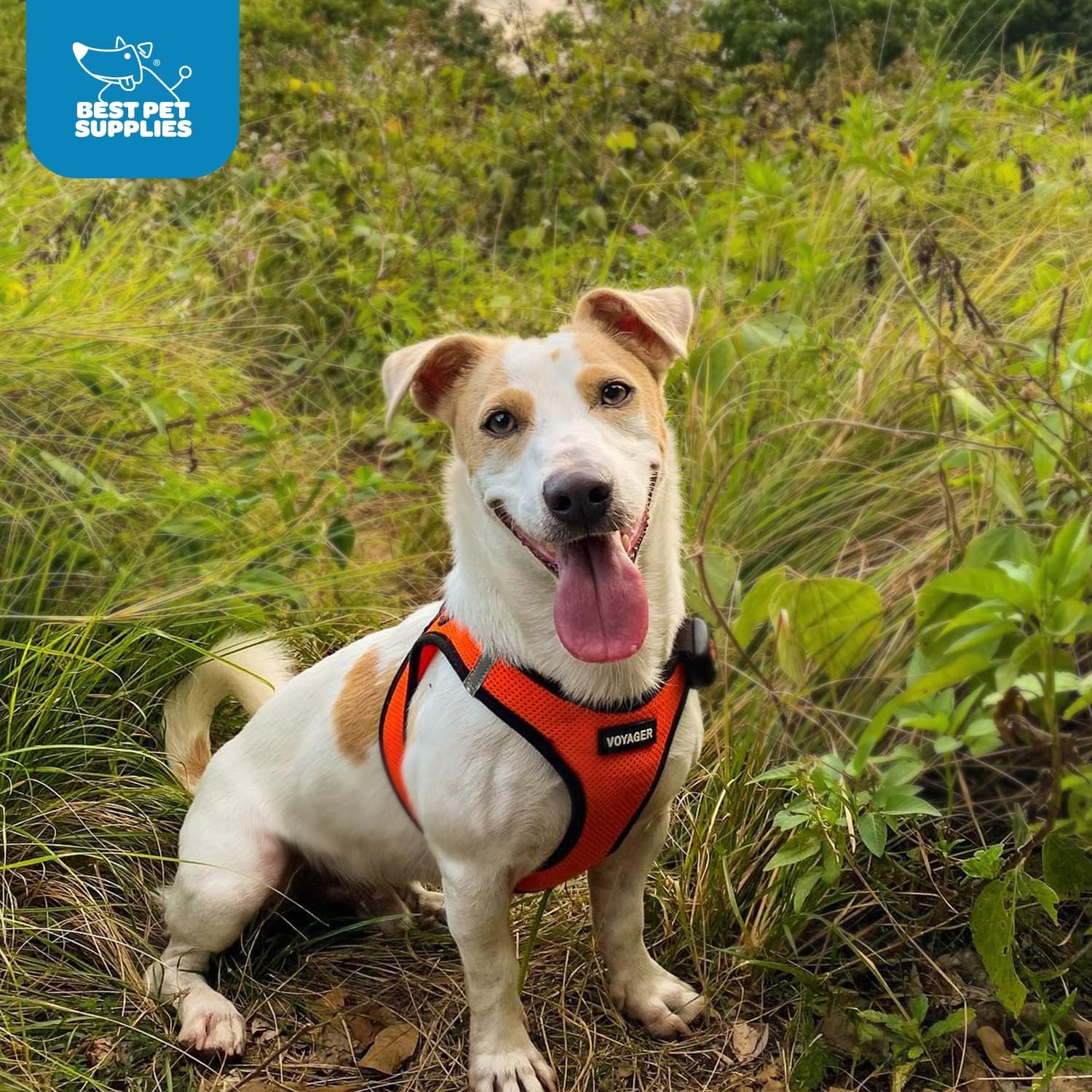 image:imageBest Pet Supplies Voyager Stepin Air Harness All Weather Mesh Reflective No Pull Harness for Dogs Cats Secure with Hook amp Loop Fastener Buckle Double DRings Fuchsia SHarness RedBlack Trim