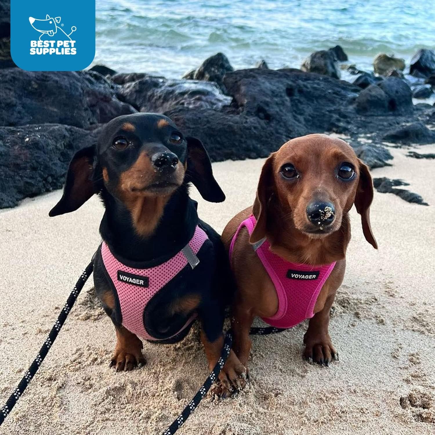 image:imageBest Pet Supplies Voyager Stepin Air Harness All Weather Mesh Reflective No Pull Harness for Dogs Cats Secure with Hook amp Loop Fastener Buckle Double DRings Fuchsia SHarness Fuchsia
