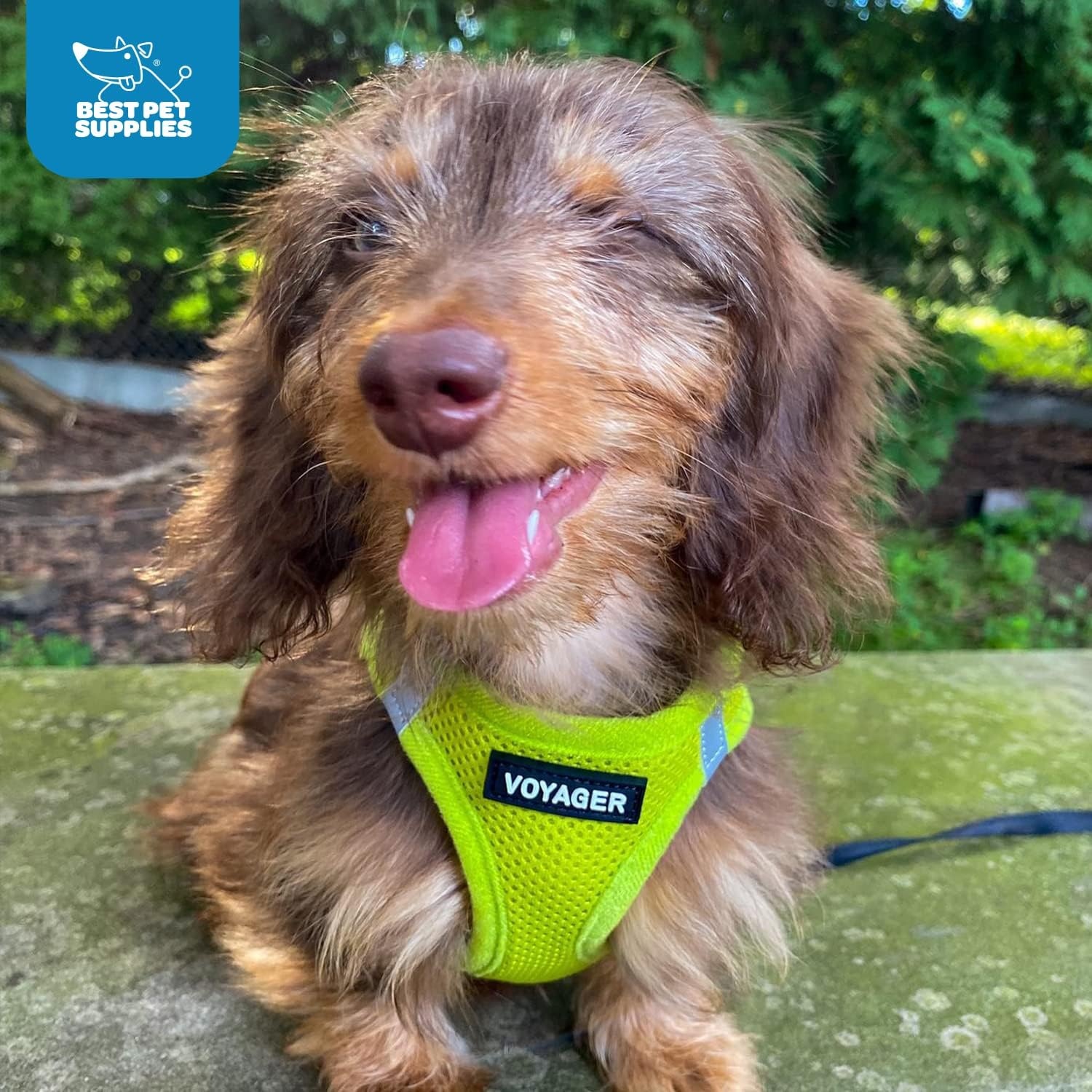 image:imageBest Pet Supplies Voyager Stepin Air Harness All Weather Mesh Reflective No Pull Harness for Dogs Cats Secure with Hook amp Loop Fastener Buckle Double DRings Fuchsia SHarness Lime Green