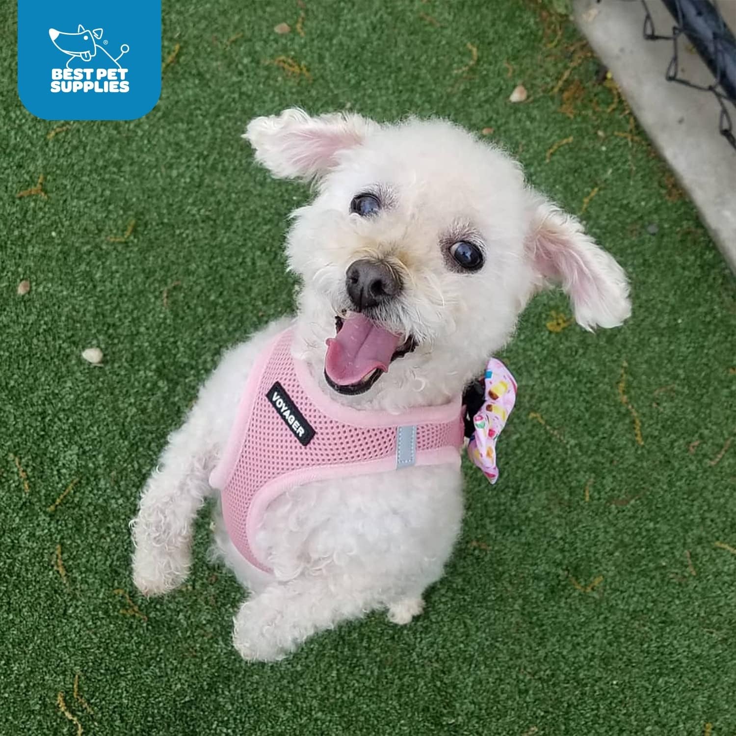 image:imageBest Pet Supplies Voyager Stepin Air Harness All Weather Mesh Reflective No Pull Harness for Dogs Cats Secure with Hook amp Loop Fastener Buckle Double DRings Fuchsia SHarness Pink
