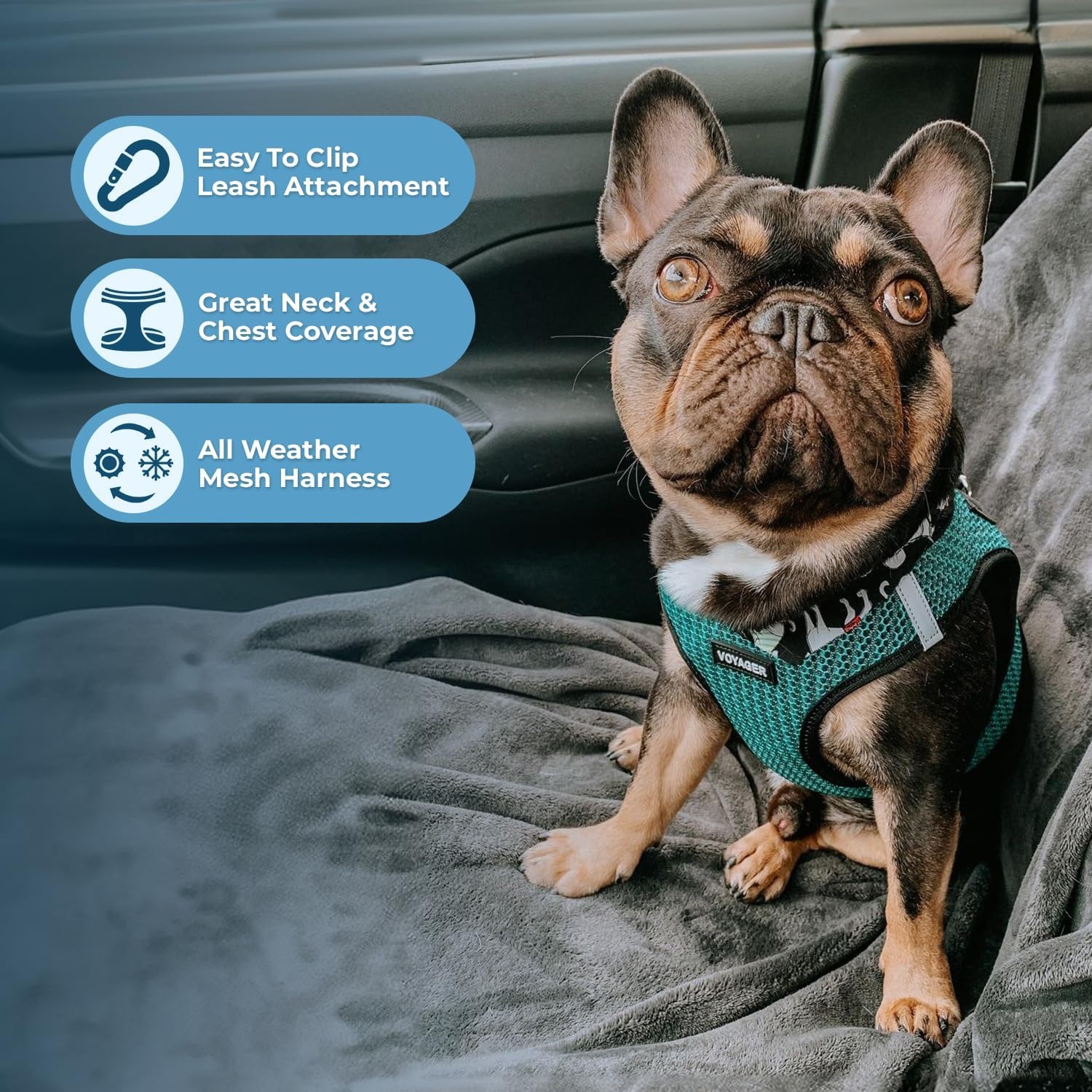 image:imageBest Pet Supplies Voyager Stepin Air Harness All Weather Mesh Reflective No Pull Harness for Dogs Cats Secure with Hook amp Loop Fastener Buckle Double DRings Fuchsia SHarness Turquoise 2Tone