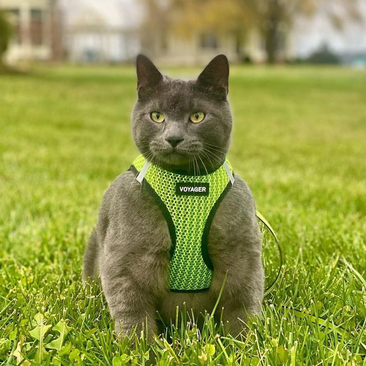 image:imageBest Pet Supplies Voyager Stepin Air Harness All Weather Mesh Reflective No Pull Harness for Dogs Cats Secure with Hook amp Loop Fastener Buckle Double DRings Fuchsia SHarness Lime Green 2Tone