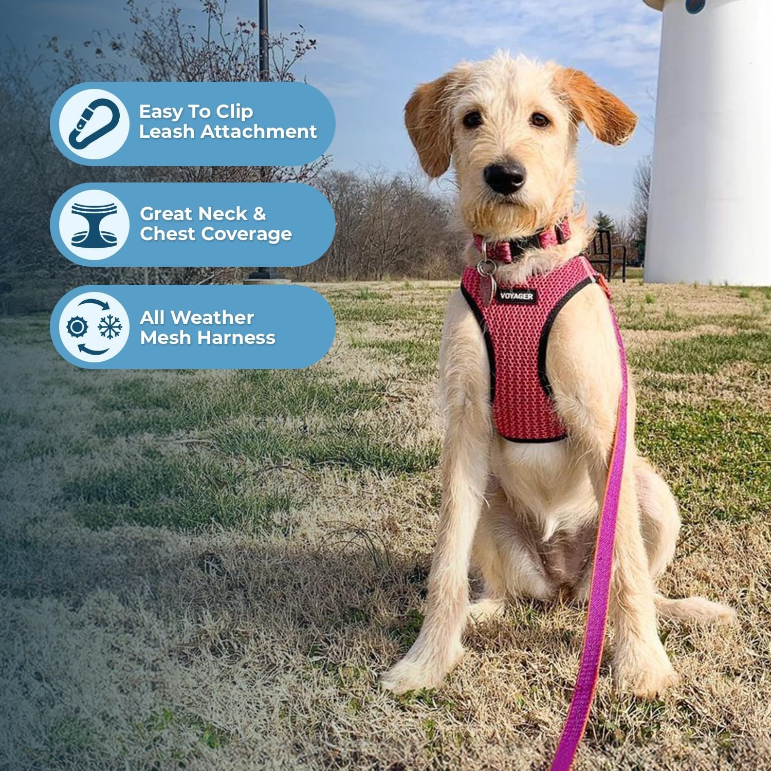image:imageBest Pet Supplies Voyager Stepin Air Harness All Weather Mesh Reflective No Pull Harness for Dogs Cats Secure with Hook amp Loop Fastener Buckle Double DRings Fuchsia SHarness Fuchsia 2Tone