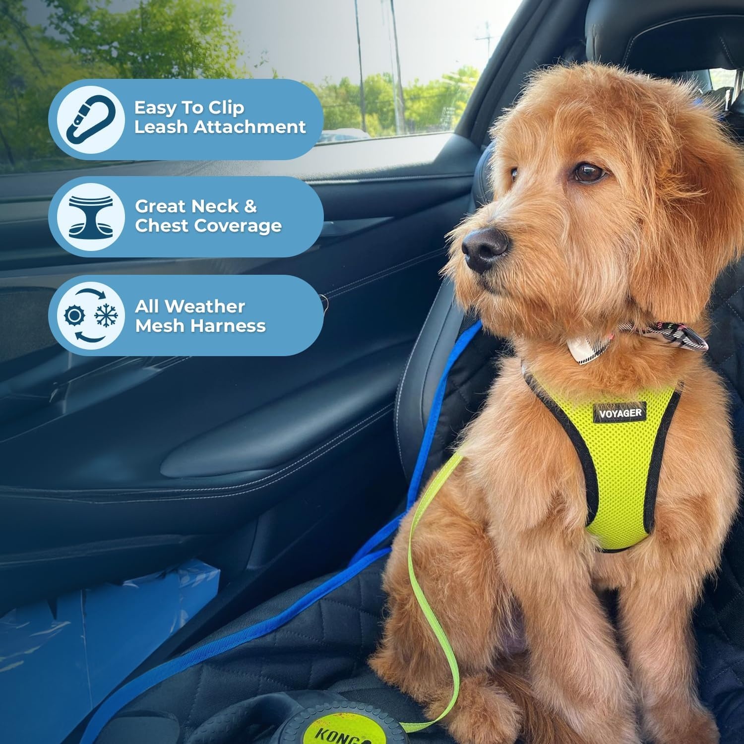 image:imageBest Pet Supplies Voyager Stepin Air Harness All Weather Mesh Reflective No Pull Harness for Dogs Cats Secure with Hook amp Loop Fastener Buckle Double DRings Fuchsia SHarness Lime GreenBlack Trim