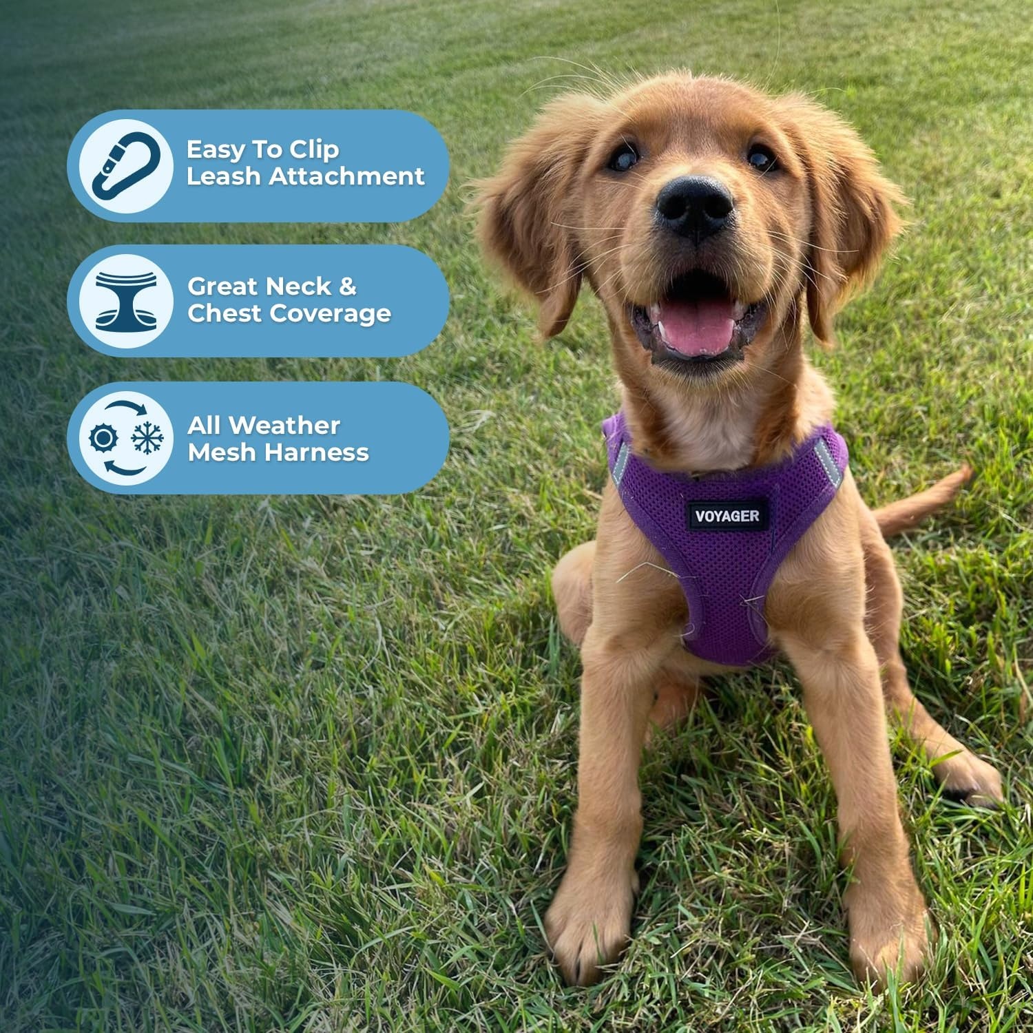 image:imageBest Pet Supplies Voyager Stepin Air Harness All Weather Mesh Reflective No Pull Harness for Dogs Cats Secure with Hook amp Loop Fastener Buckle Double DRings Fuchsia SHarness Purple