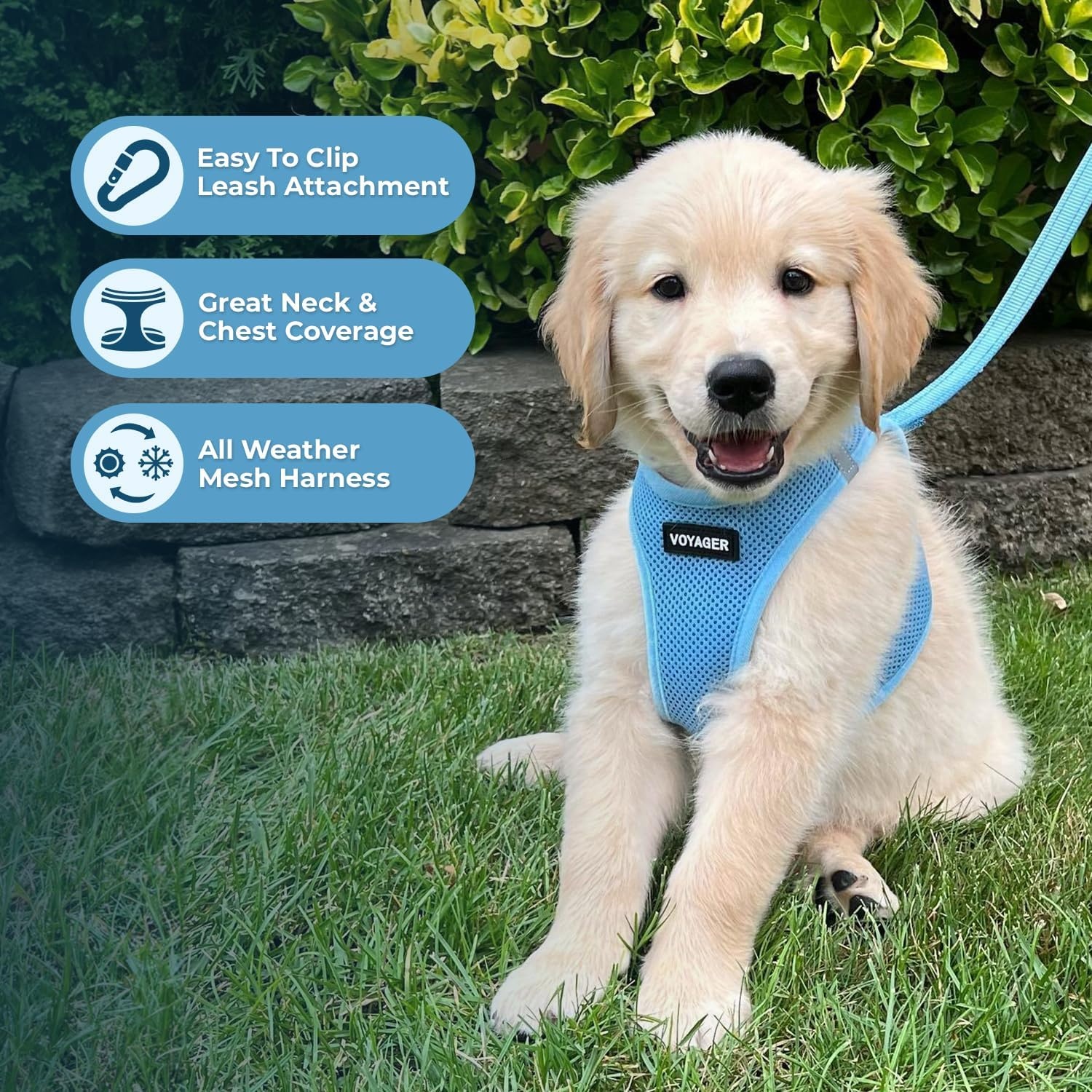 image:imageBest Pet Supplies Voyager Stepin Air Harness All Weather Mesh Reflective No Pull Harness for Dogs Cats Secure with Hook amp Loop Fastener Buckle Double DRings Fuchsia SHarness Baby Blue