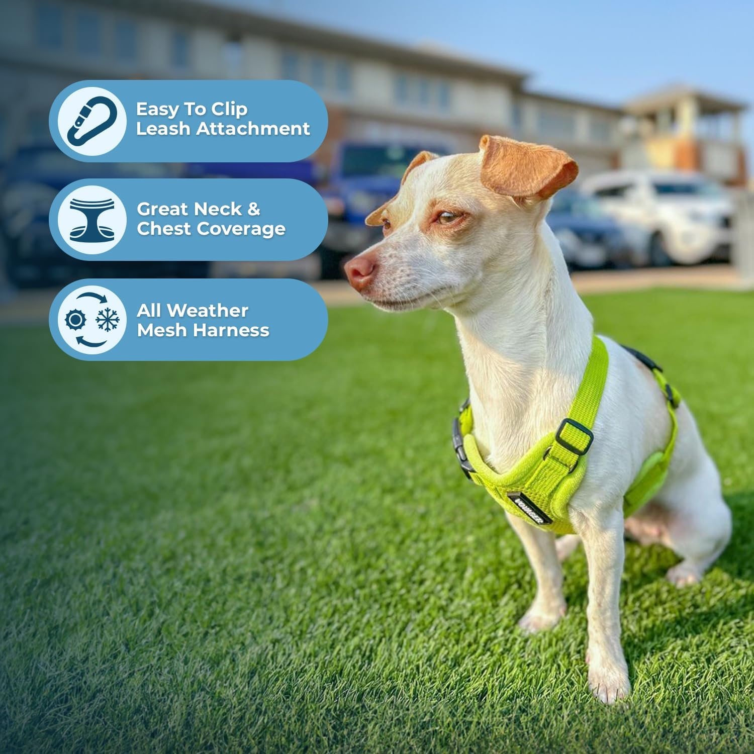 image:imageBest Pet Supplies Voyager Stepin Air Harness All Weather Mesh Reflective No Pull Harness for Dogs Cats Secure with Hook amp Loop Fastener Buckle Double DRings Fuchsia SHarness Lime Green