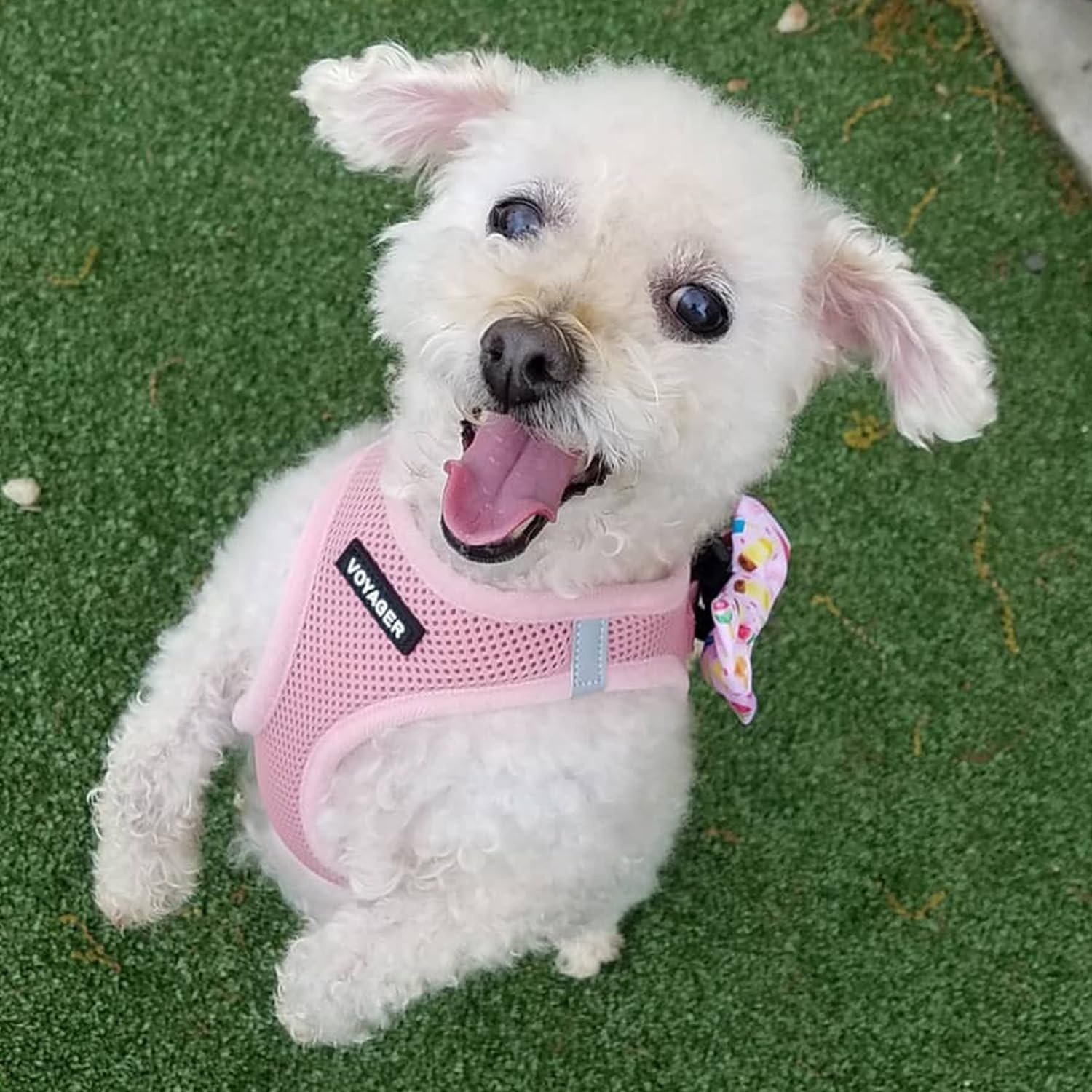 image:imageBest Pet Supplies Voyager Stepin Air Harness All Weather Mesh Reflective No Pull Harness for Dogs Cats Secure with Hook amp Loop Fastener Buckle Double DRings Fuchsia SHarness Pink