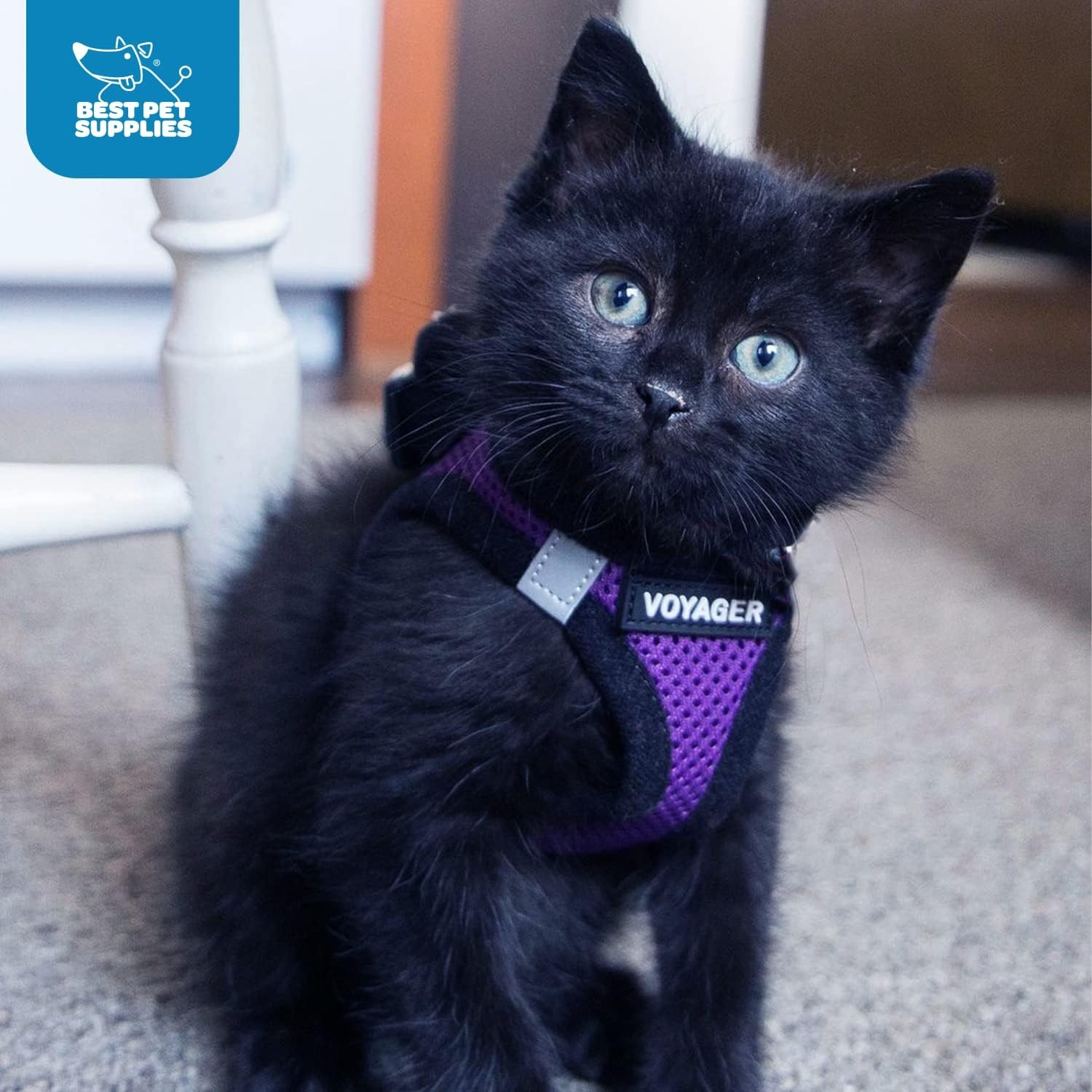 image:imageBest Pet Supplies Voyager Stepin Air Harness All Weather Mesh Reflective No Pull Harness for Dogs Cats Secure with Hook amp Loop Fastener Buckle Double DRings Fuchsia SHarness PurpleBlack Trim