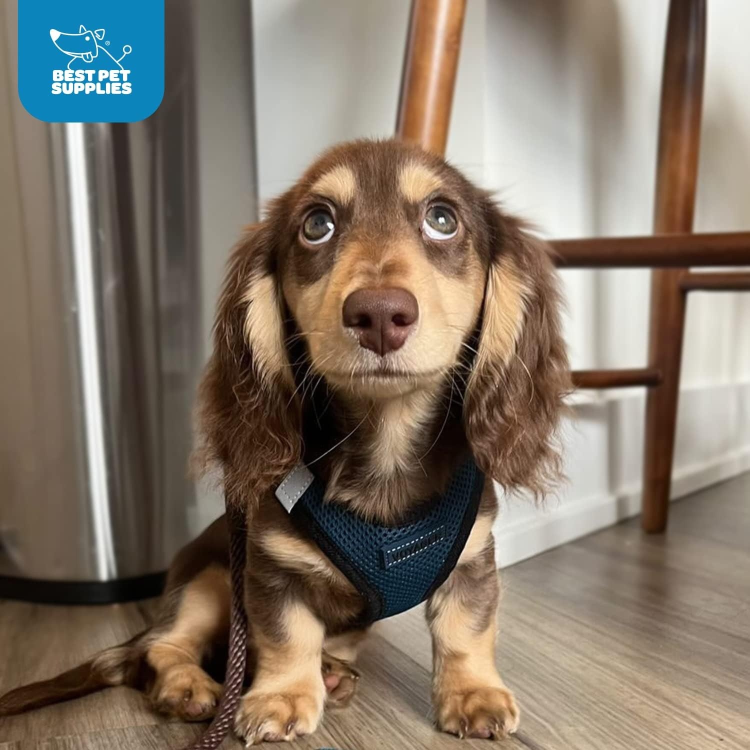 image:imageBest Pet Supplies Voyager Stepin Air Harness All Weather Mesh Reflective No Pull Harness for Dogs Cats Secure with Hook amp Loop Fastener Buckle Double DRings Fuchsia SHarness BlueBlack Trim