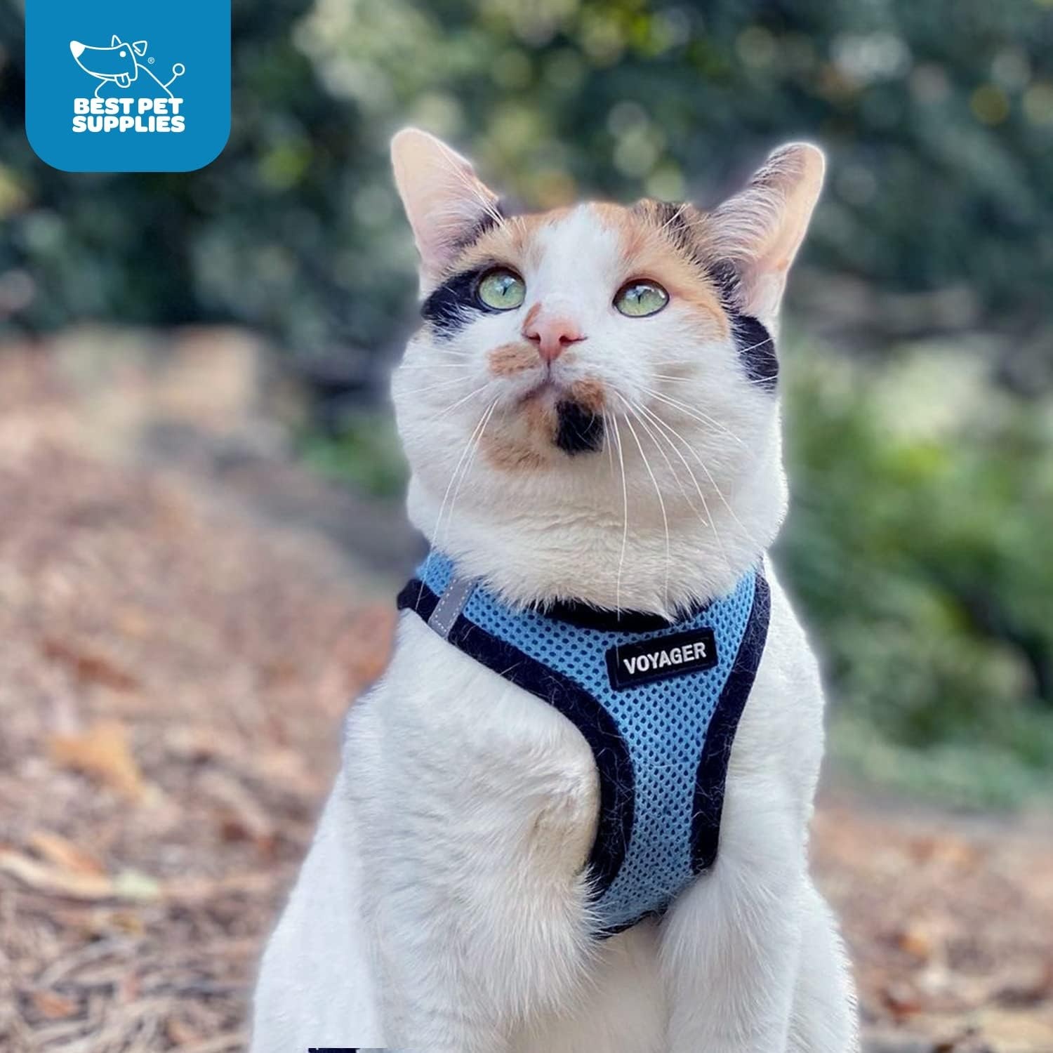image:imageBest Pet Supplies Voyager Stepin Air Harness All Weather Mesh Reflective No Pull Harness for Dogs Cats Secure with Hook amp Loop Fastener Buckle Double DRings Fuchsia SHarness Baby BlueBlack Trim