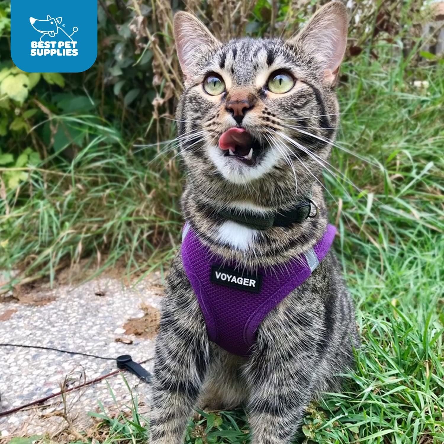 image:imageBest Pet Supplies Voyager Stepin Air Harness All Weather Mesh Reflective No Pull Harness for Dogs Cats Secure with Hook amp Loop Fastener Buckle Double DRings Fuchsia SHarness Purple