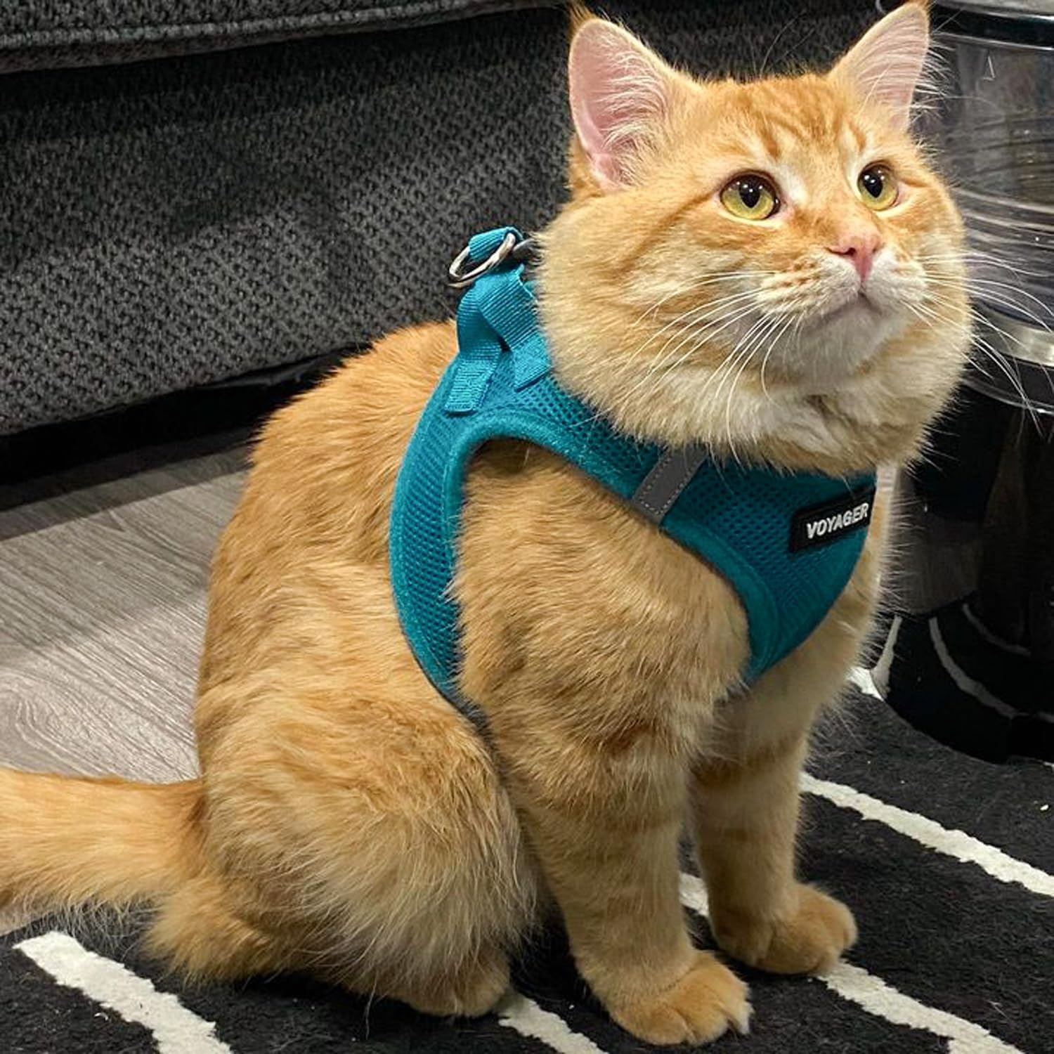 image:imageBest Pet Supplies Voyager Stepin Air Harness All Weather Mesh Reflective No Pull Harness for Dogs Cats Secure with Hook amp Loop Fastener Buckle Double DRings Fuchsia SHarness Turquoise