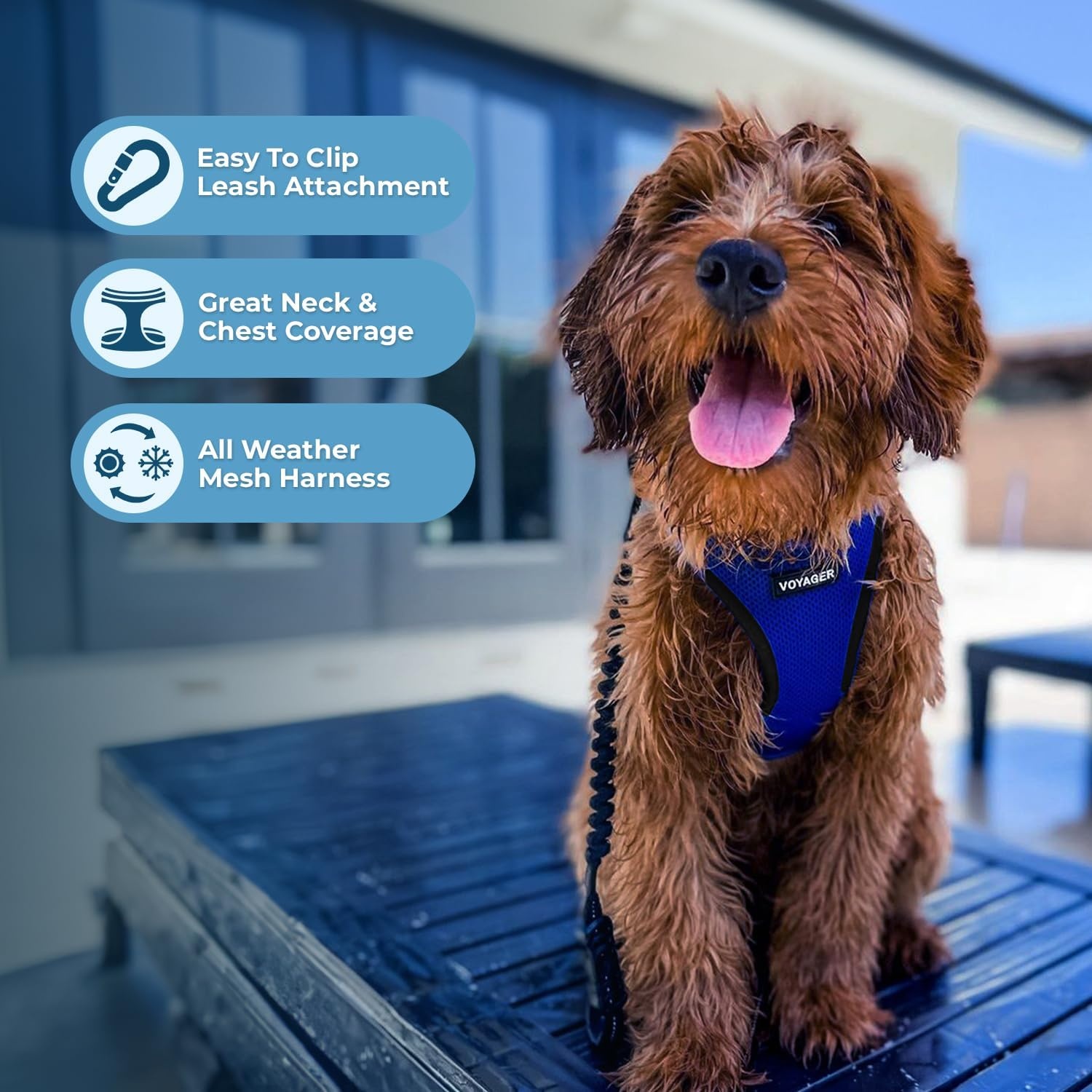 image:imageBest Pet Supplies Voyager Stepin Air Harness All Weather Mesh Reflective No Pull Harness for Dogs Cats Secure with Hook amp Loop Fastener Buckle Double DRings Fuchsia SHarness Royal BlueBlack Trim
