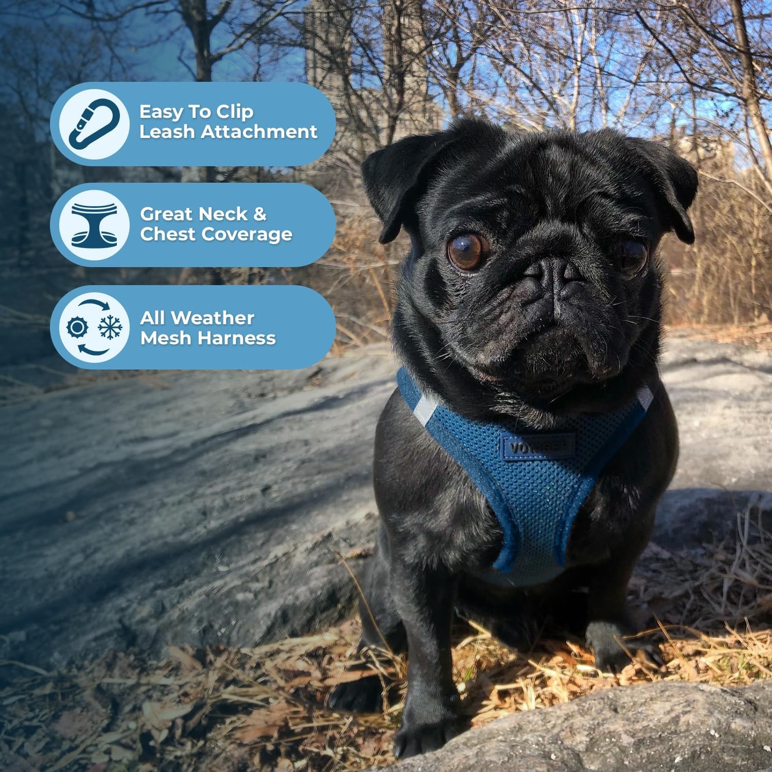 image:imageBest Pet Supplies Voyager Stepin Air Harness All Weather Mesh Reflective No Pull Harness for Dogs Cats Secure with Hook amp Loop Fastener Buckle Double DRings Fuchsia SHarness Blue