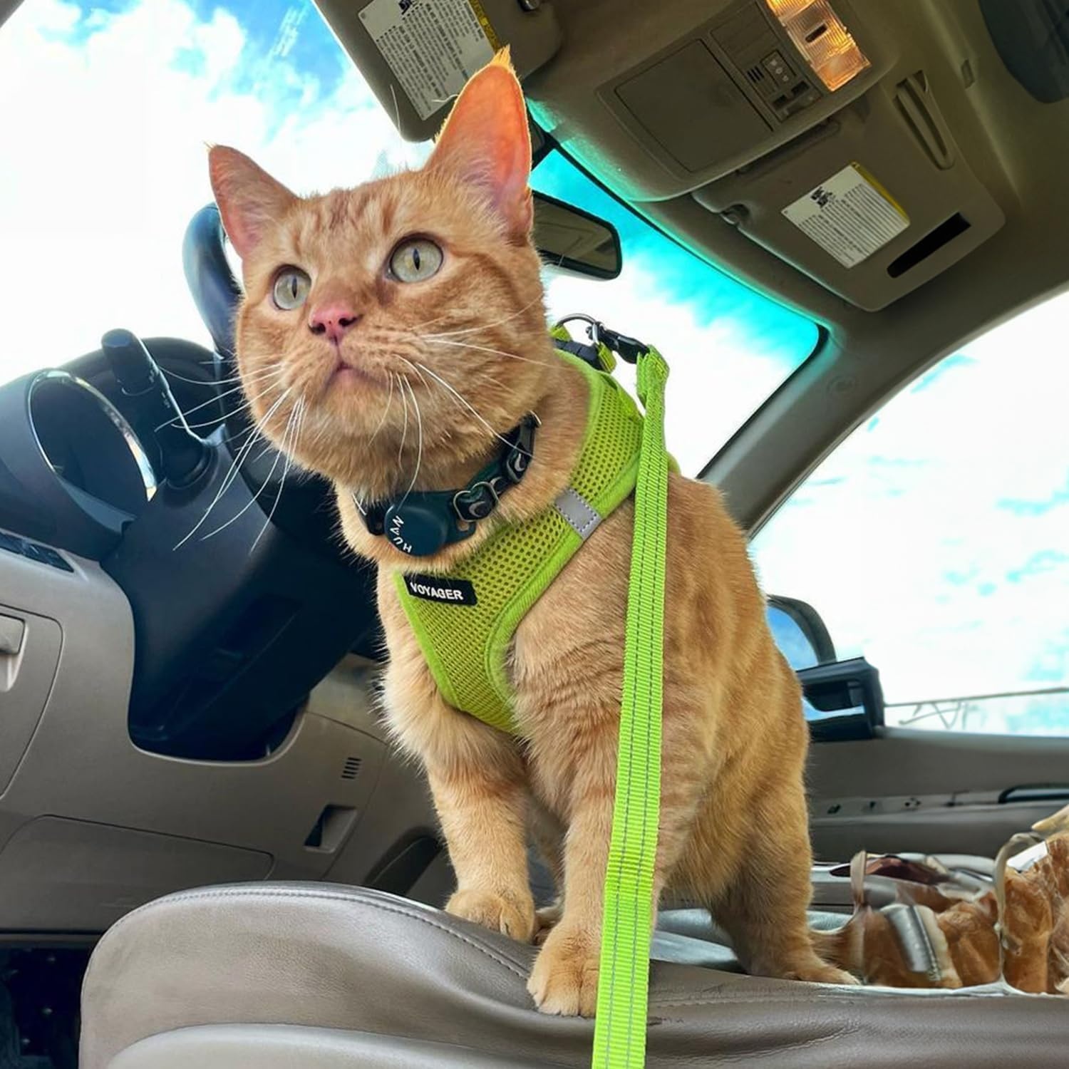 image:imageBest Pet Supplies Voyager Stepin Air Harness All Weather Mesh Reflective No Pull Harness for Dogs Cats Secure with Hook amp Loop Fastener Buckle Double DRings Fuchsia SHarness Lime Green