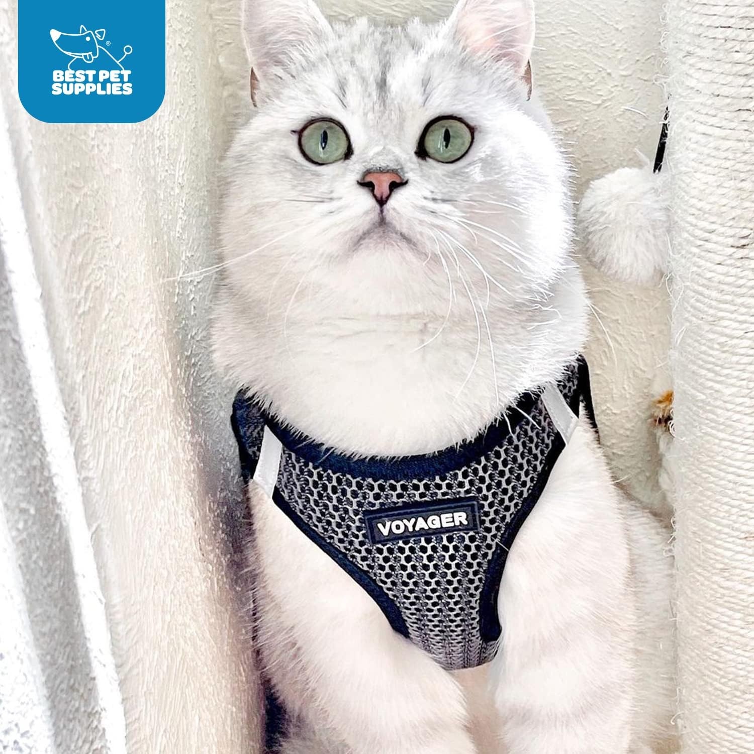 image:imageBest Pet Supplies Voyager Stepin Air Harness All Weather Mesh Reflective No Pull Harness for Dogs Cats Secure with Hook amp Loop Fastener Buckle Double DRings Fuchsia SHarness Gray 2Tone