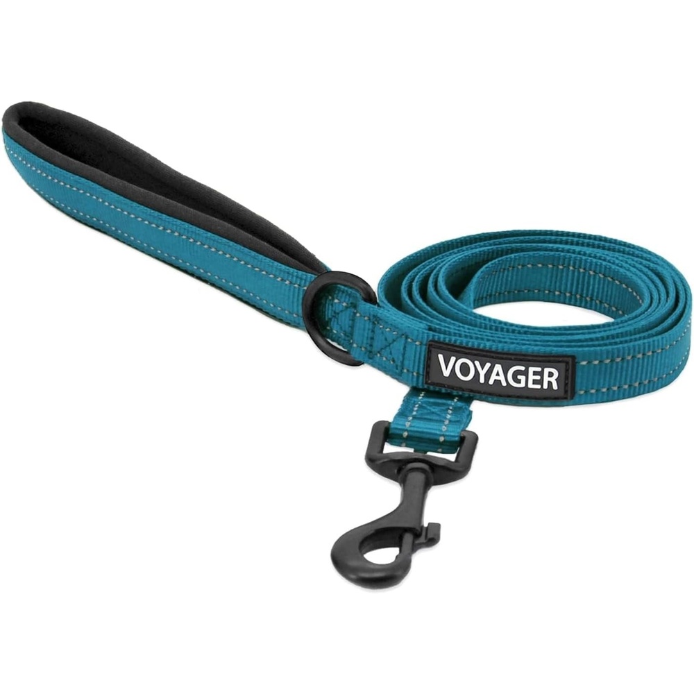 image:imageBest Pet Supplies Voyager Reflective Dog Leash or Collar with Neoprene Handle for Small Medium and Large Breed Puppies Cute and Heavy Duty for Walking Running and Training Blue Leash SLeash Turquoise