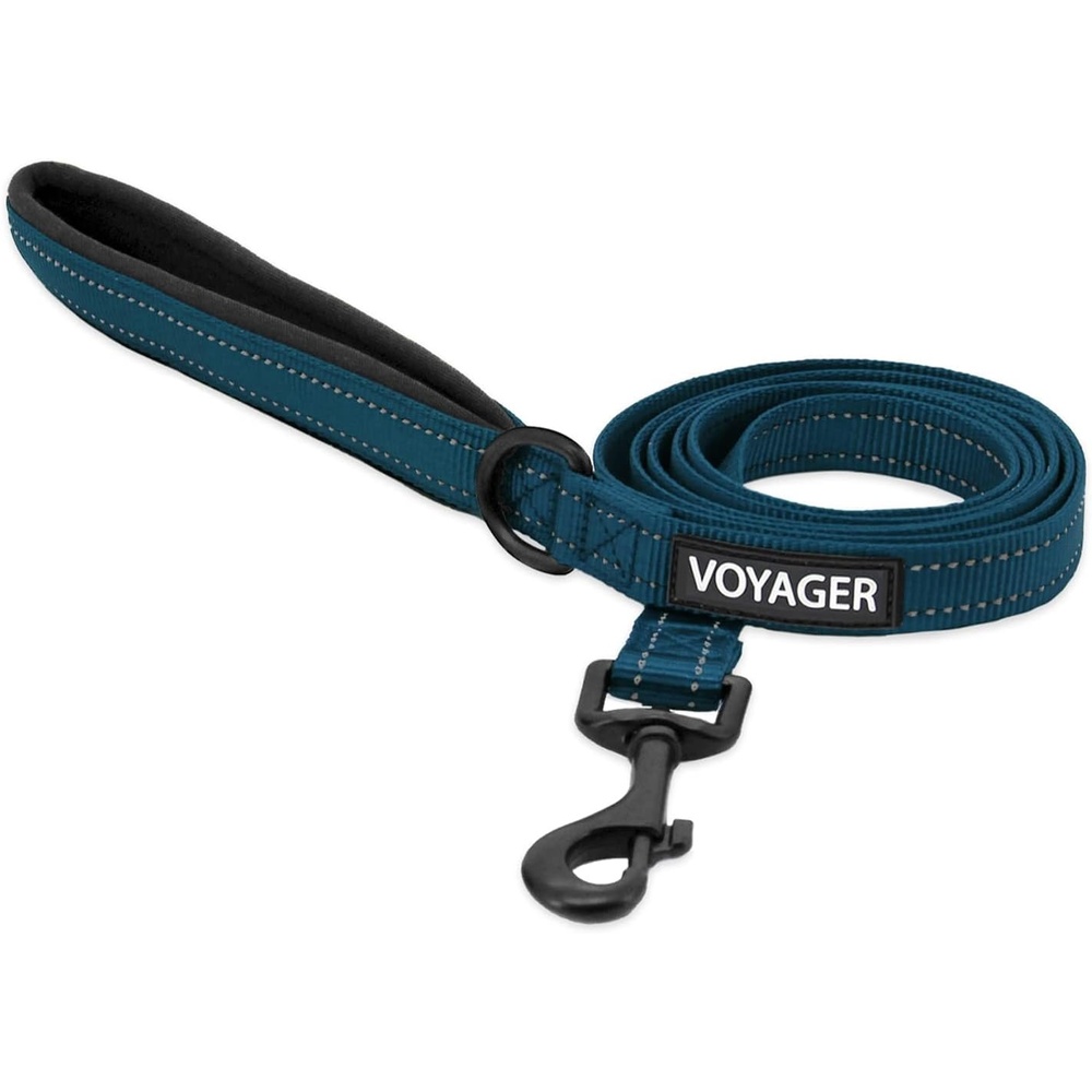 image:imageBest Pet Supplies Voyager Reflective Dog Leash or Collar with Neoprene Handle for Small Medium and Large Breed Puppies Cute and Heavy Duty for Walking Running and Training Blue Leash SLeash Blue