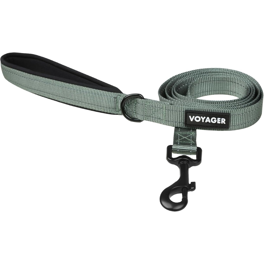 image:imageBest Pet Supplies Voyager Reflective Dog Leash or Collar with Neoprene Handle for Small Medium and Large Breed Puppies Cute and Heavy Duty for Walking Running and Training Blue Leash SLeash Moss Green