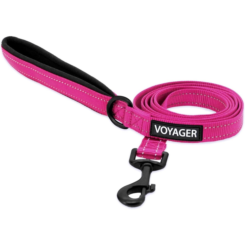 image:imageBest Pet Supplies Voyager Reflective Dog Leash or Collar with Neoprene Handle for Small Medium and Large Breed Puppies Cute and Heavy Duty for Walking Running and Training Blue Leash SLeash Fuchsia