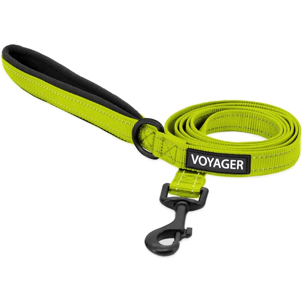 image:imageBest Pet Supplies Voyager Reflective Dog Leash or Collar with Neoprene Handle for Small Medium and Large Breed Puppies Cute and Heavy Duty for Walking Running and Training Blue Leash SLeash Lime Green