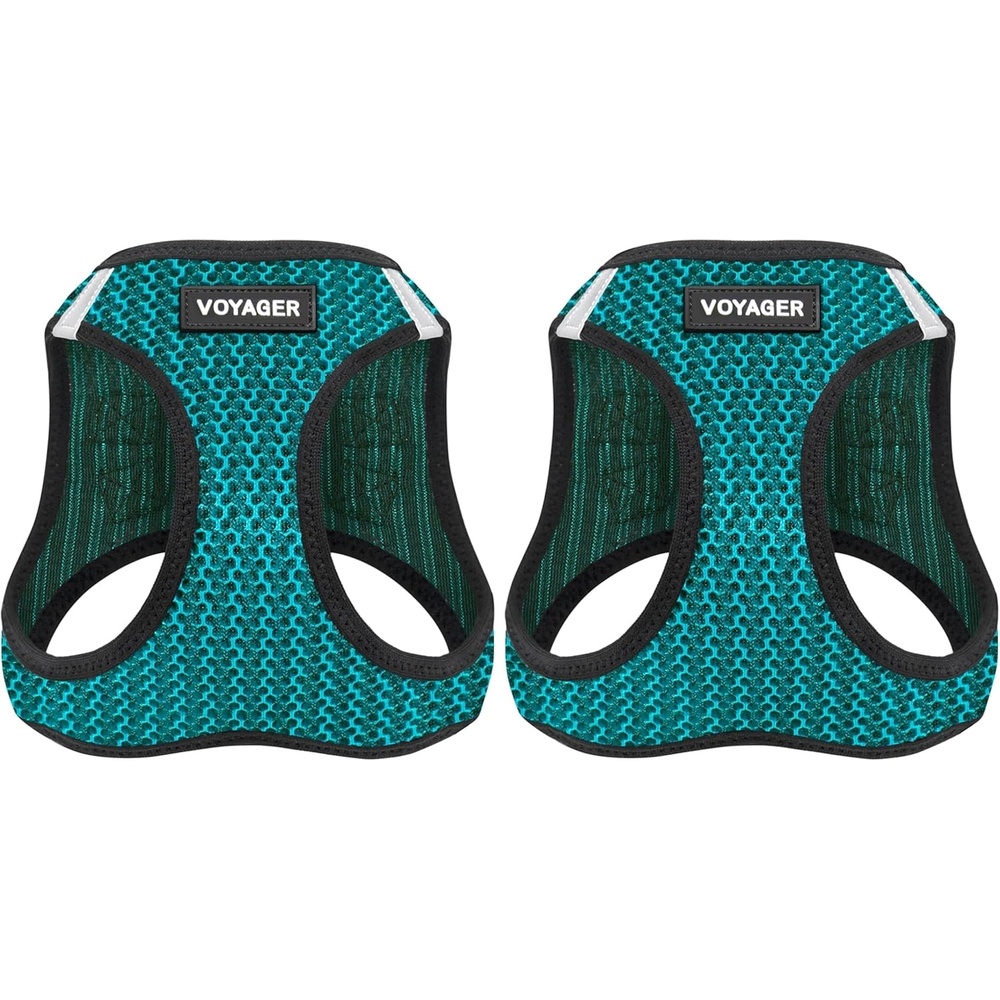 image:imageBest Pet Supplies Voyager Stepin Air Harness All Weather Mesh Reflective No Pull Harness for Dogs Cats Secure with Hook amp Loop Fastener Buckle Double DRings Fuchsia SHarness Turquoise 2Tone