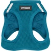 Harness (Turquoise)